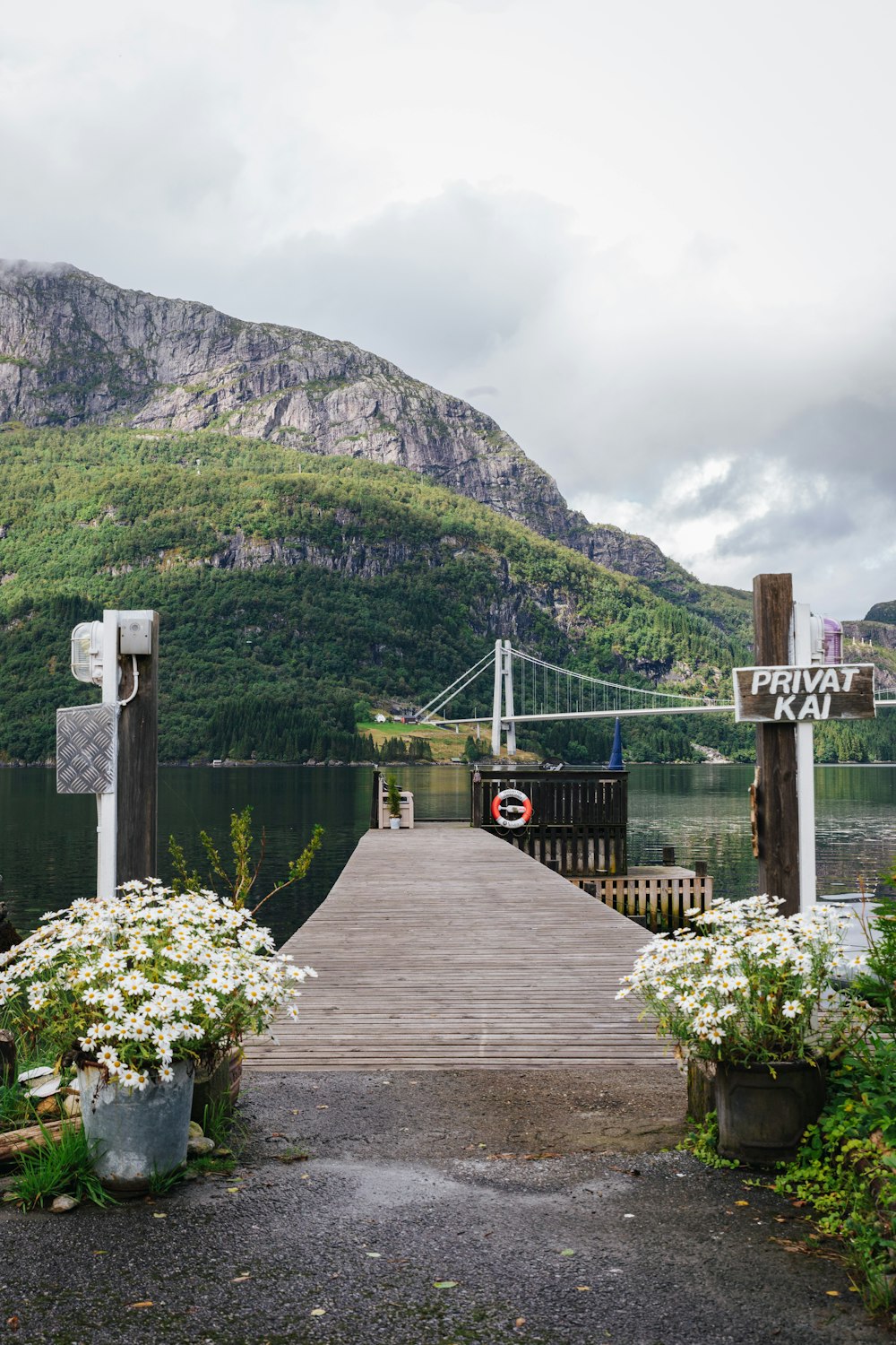 a wooden dock with flowers and a mountain in the background