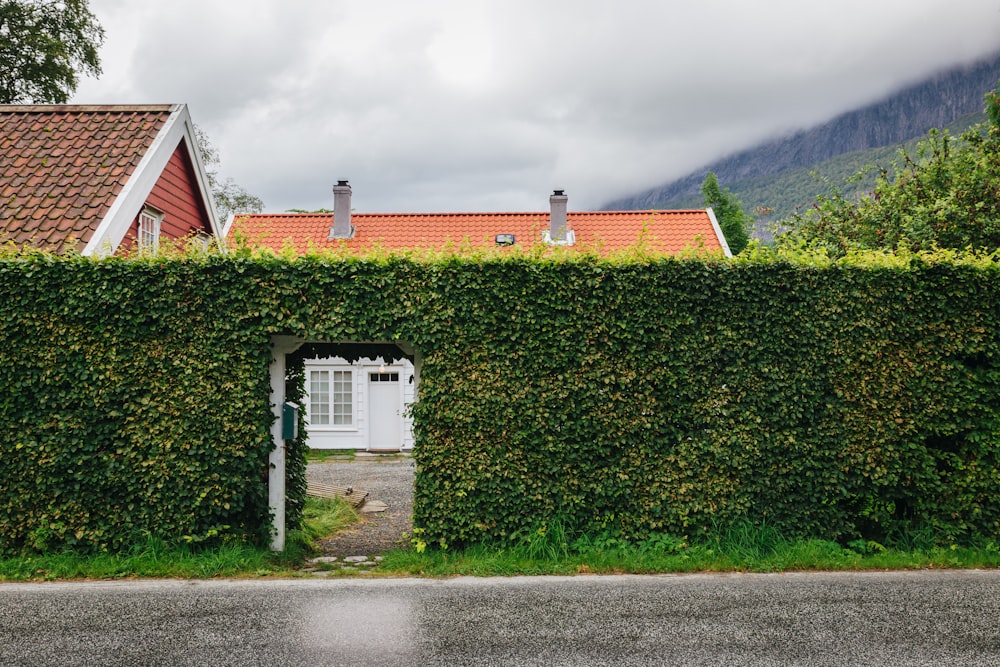 a house covered in a hedge next to a road