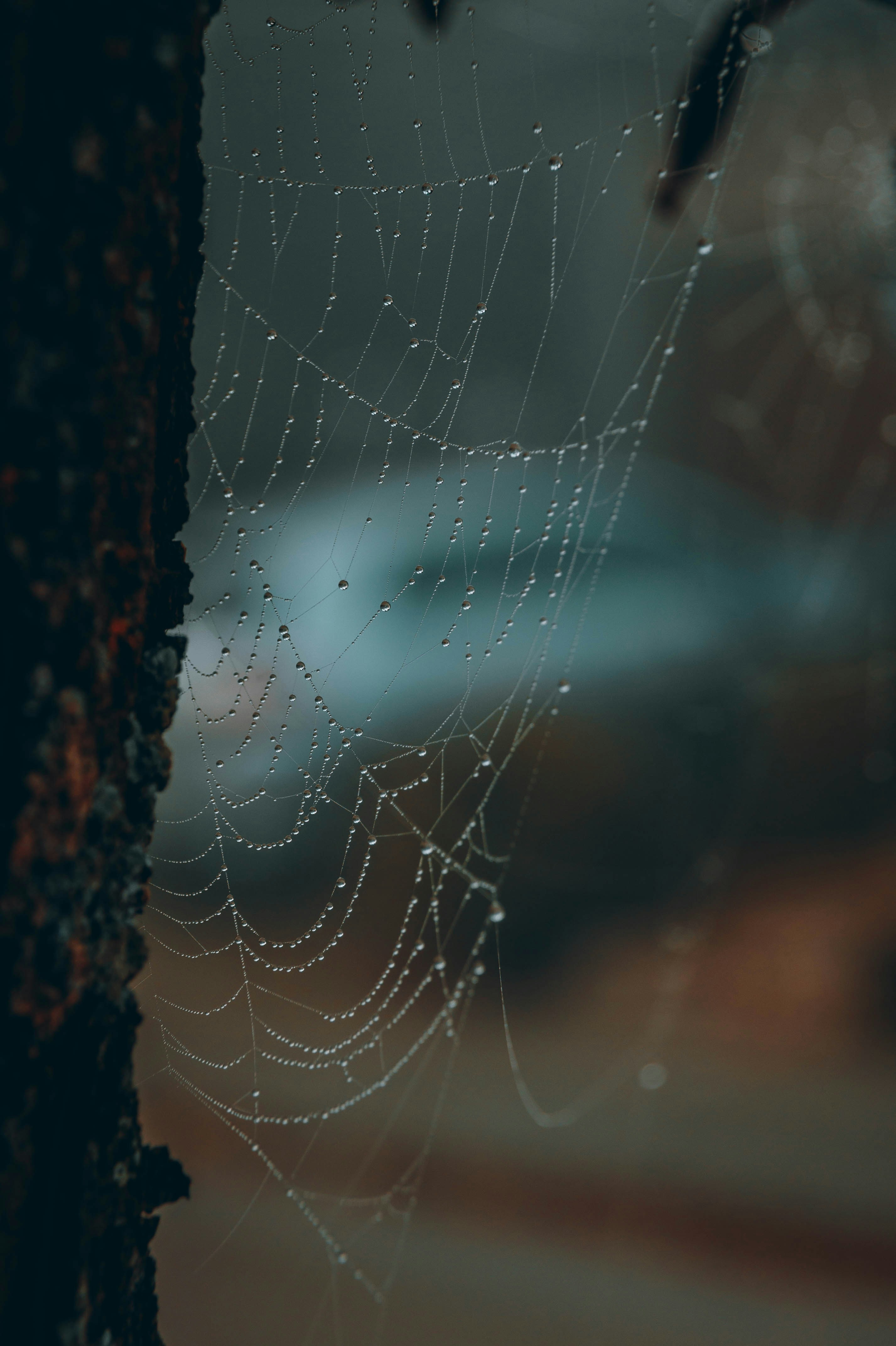 Photo by geikeverniers