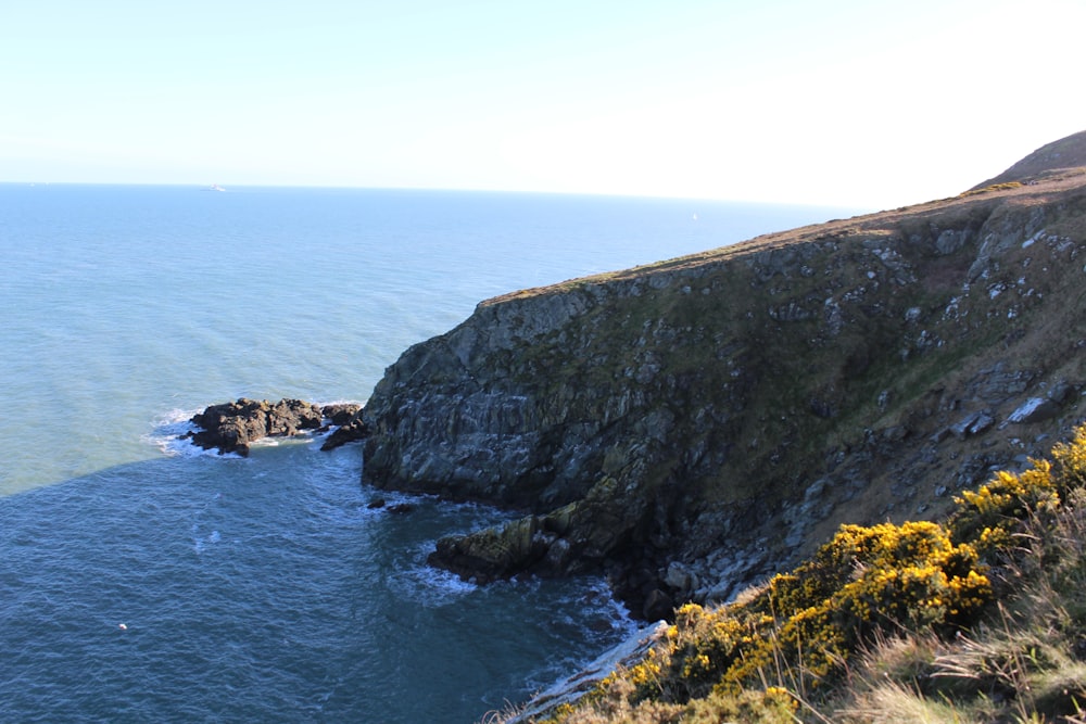 a view of the ocean from the top of a hill