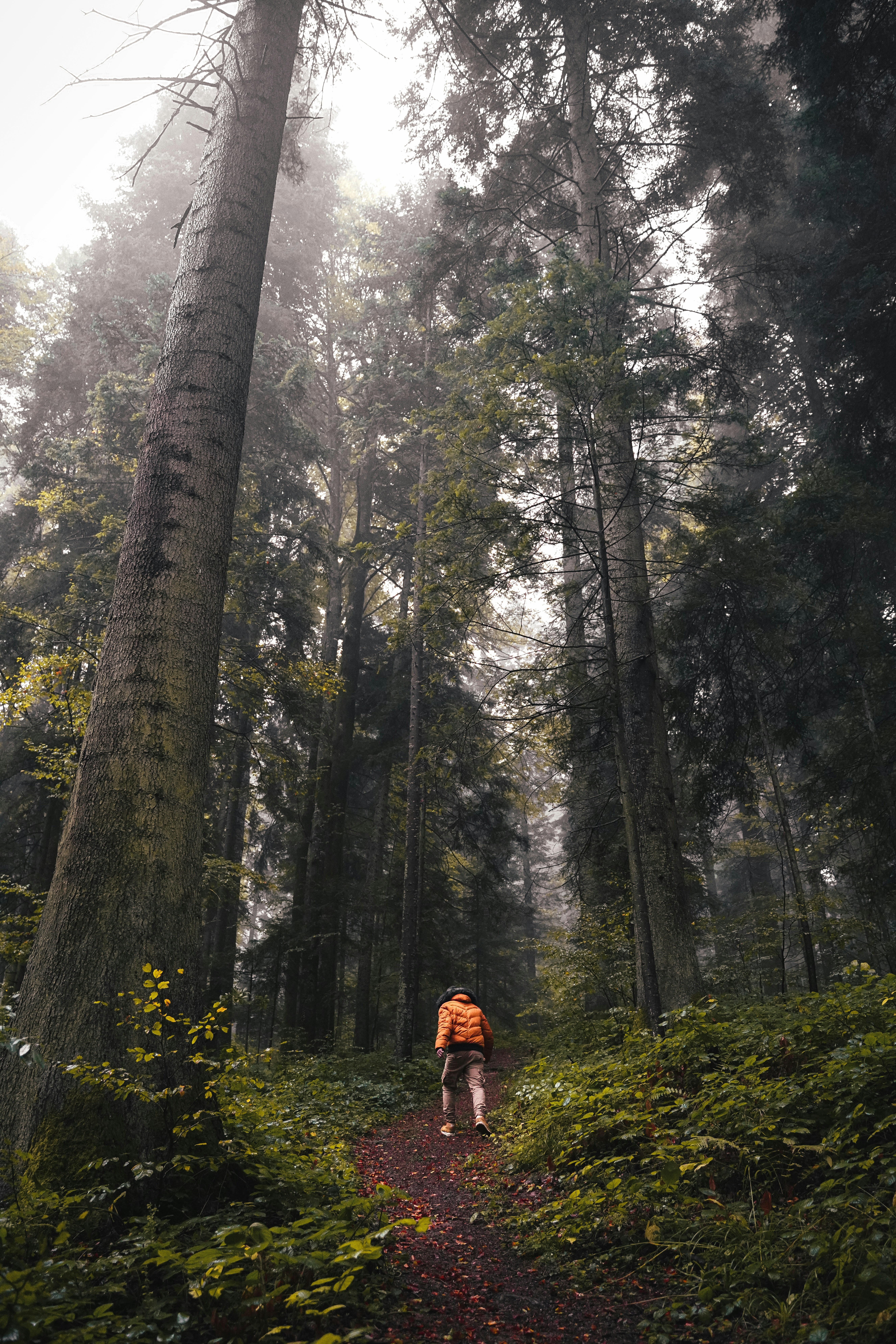 Photo by djordjevukojicic