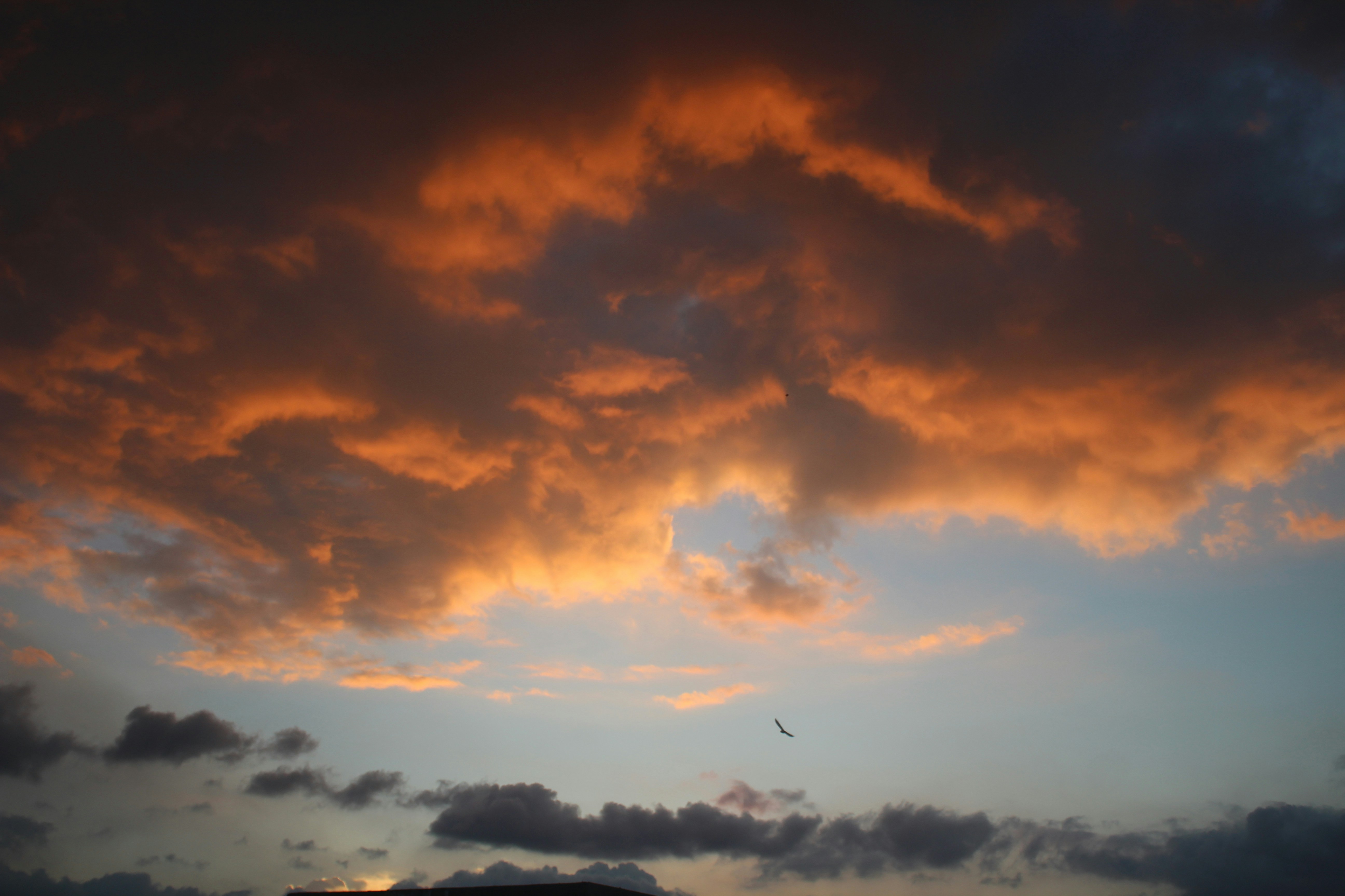 Photo by hole_for_you