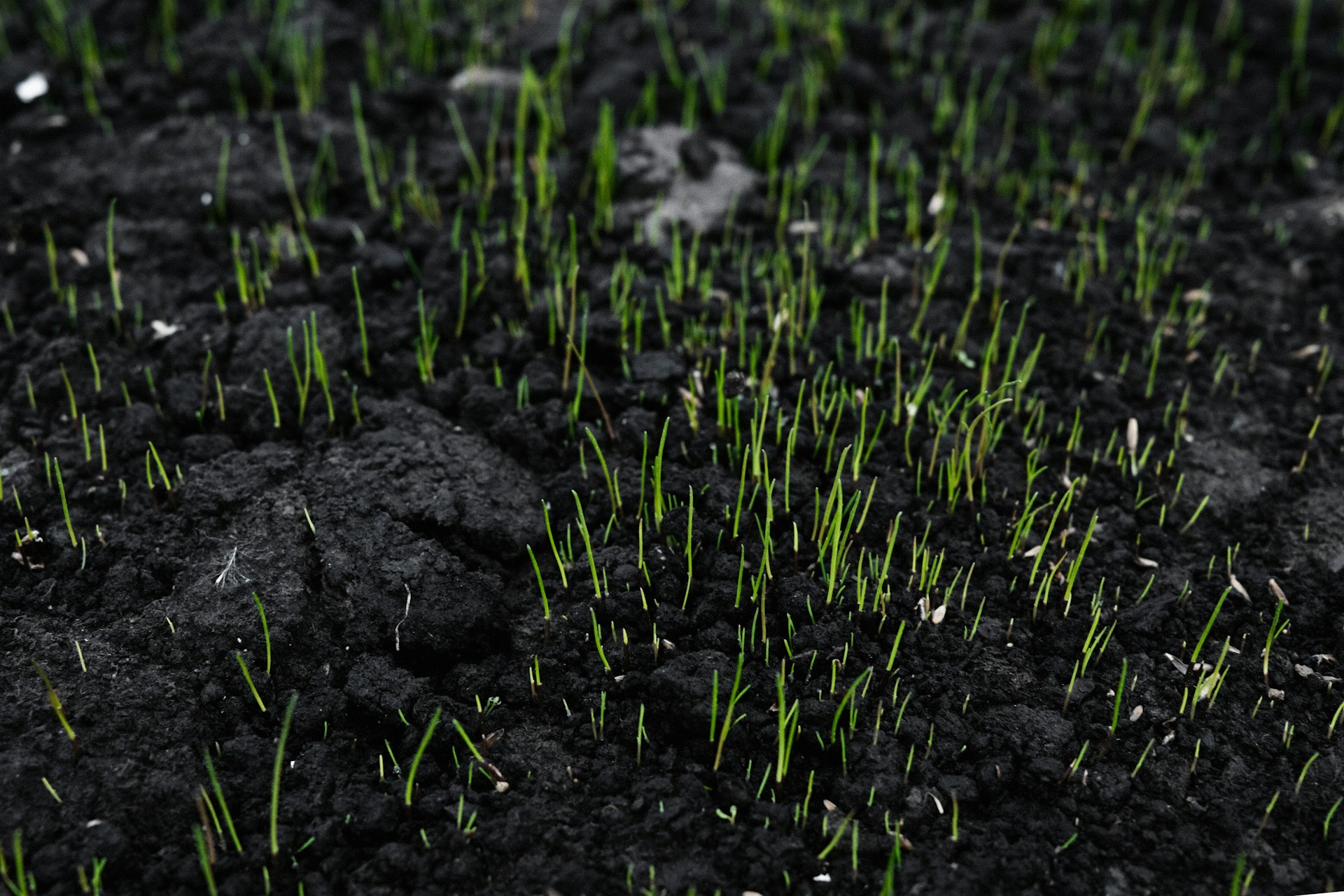 woman wearing yellow long-sleeved dress under white clouds and blue sky during daytime