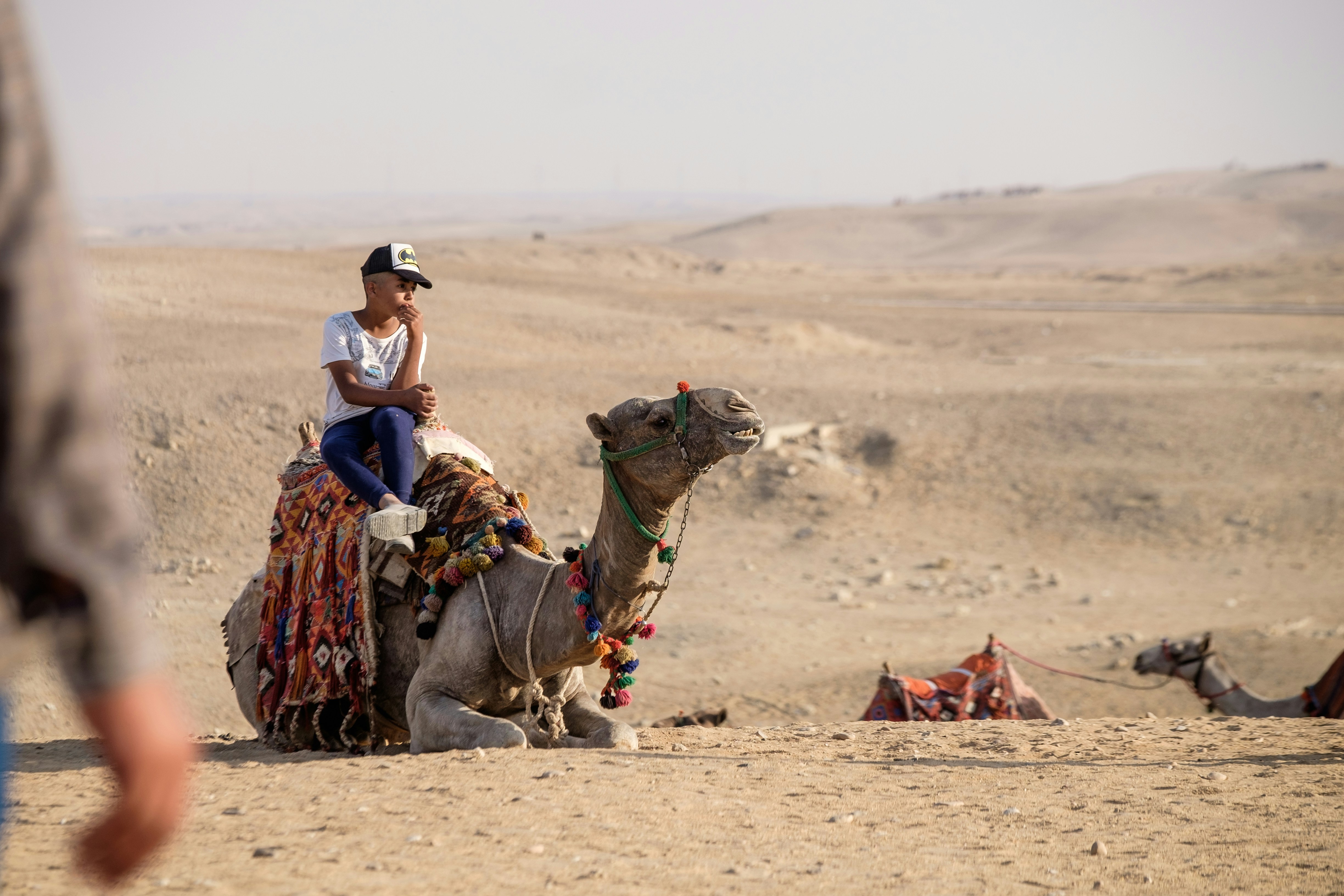 A child on a Camel, near Giza Pyramids.