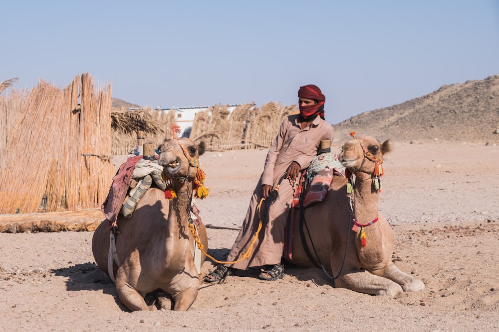 a group of people riding on the back of a horse