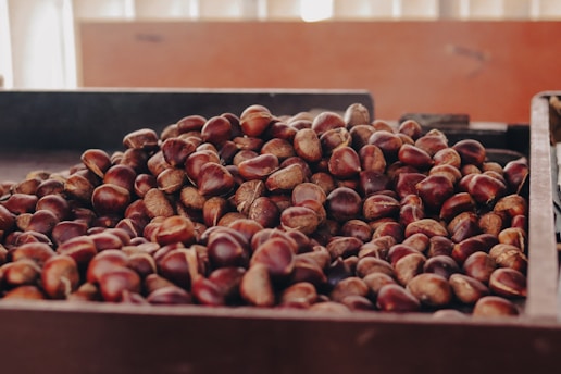 A large pile of chestnuts sits in a container, showcasing their rich brown and tan hues. They appear freshly harvested and fill the frame, suggesting abundance and natural textures.