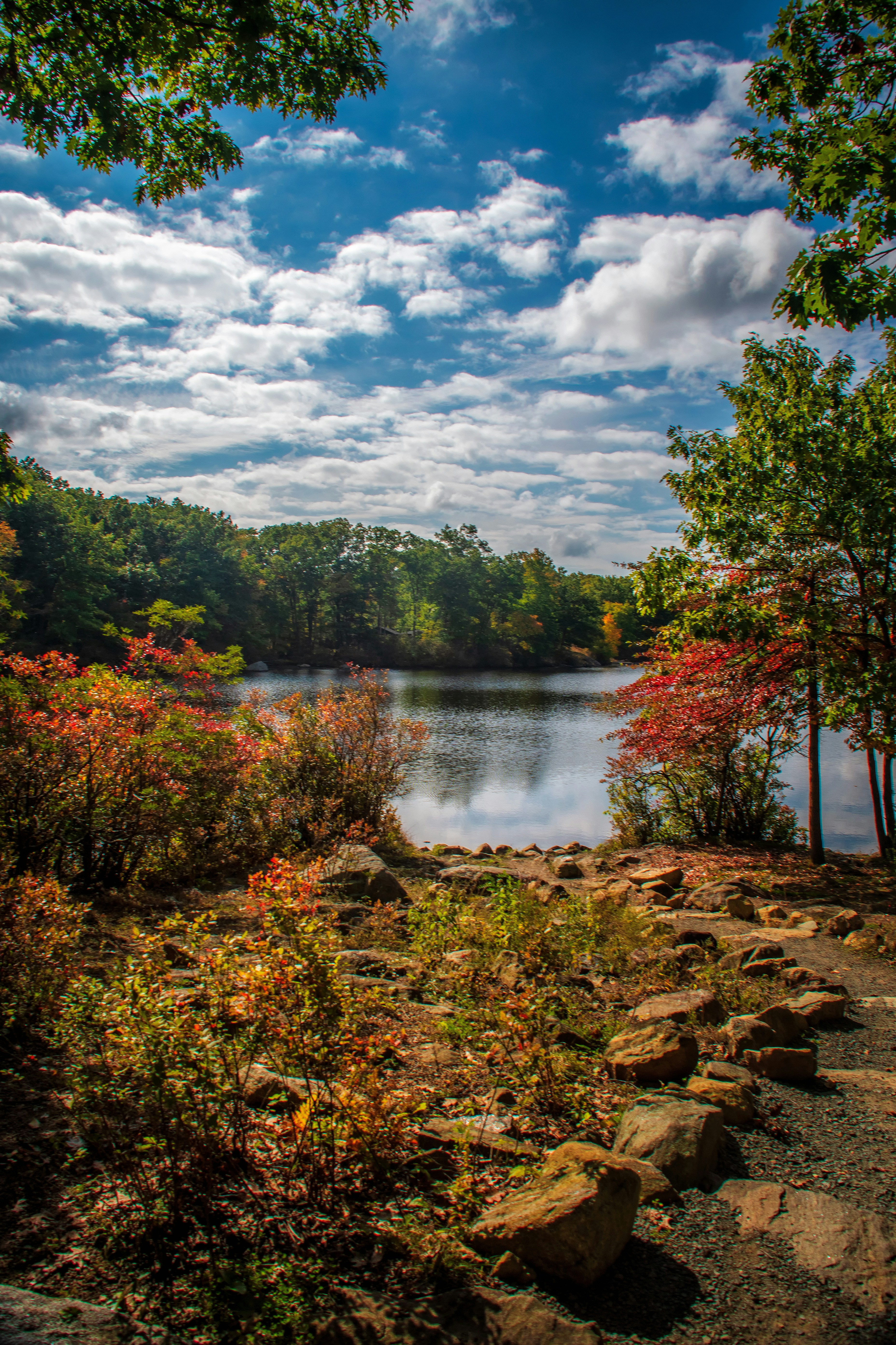 Photo by rthiemann