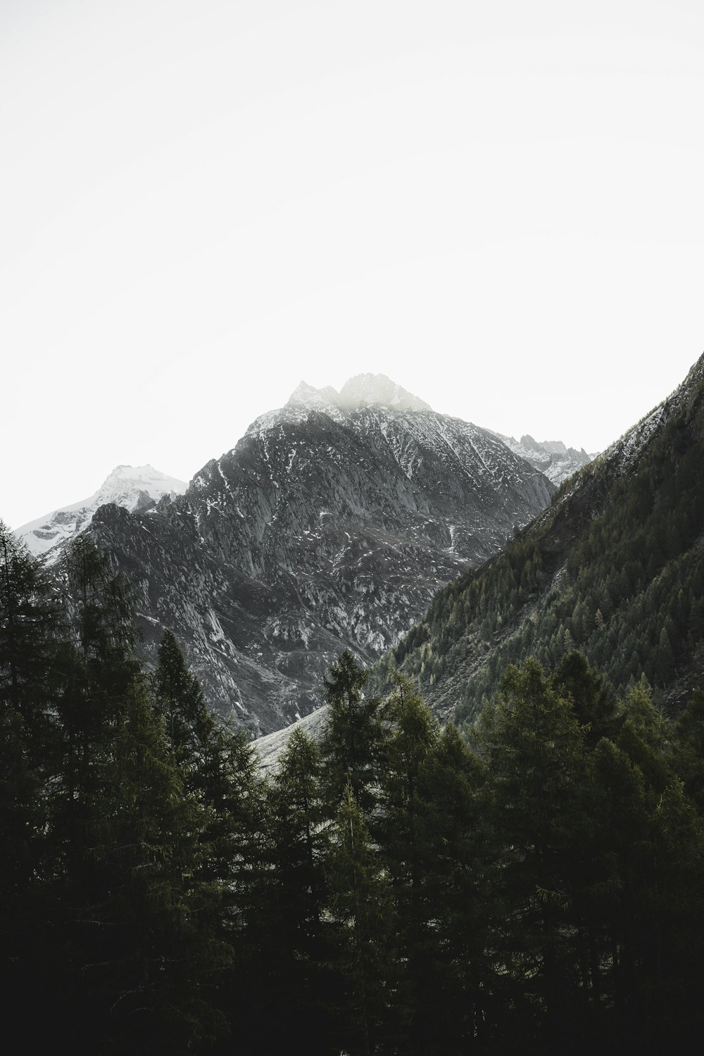 a view of a mountain range with trees in the foreground