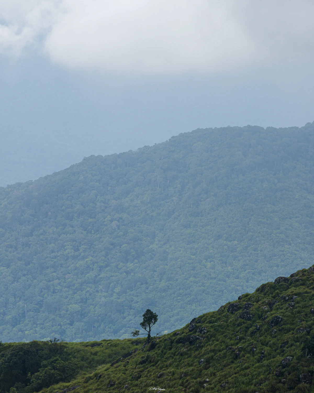 The hills seen from the estate