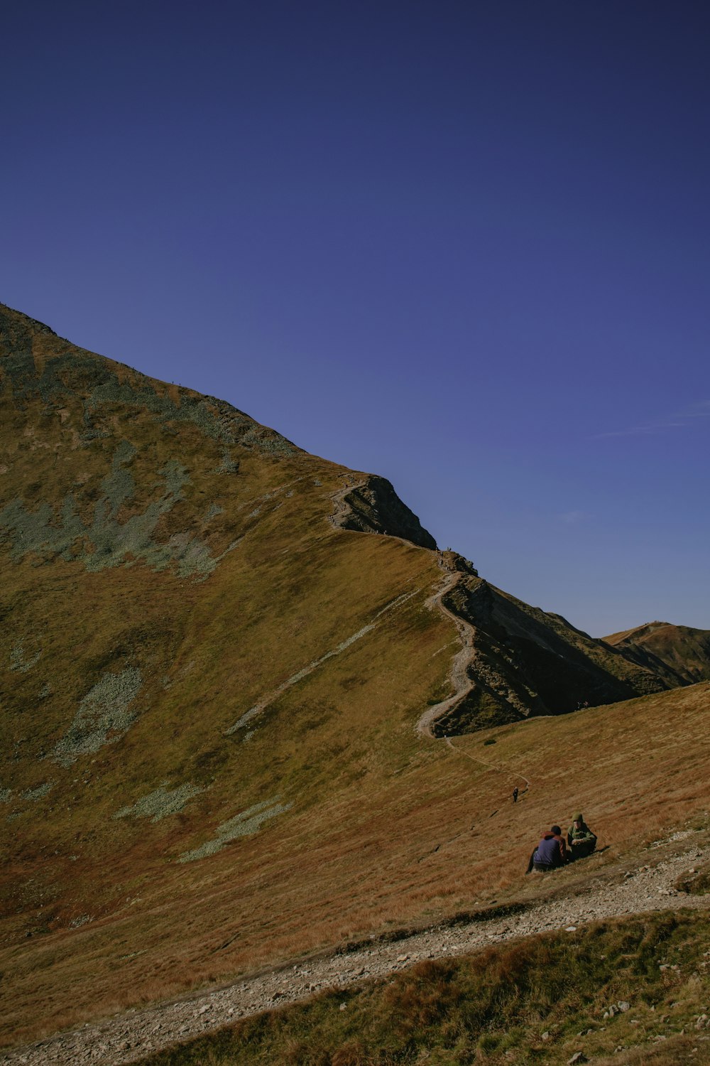 a couple of people sitting on top of a hill