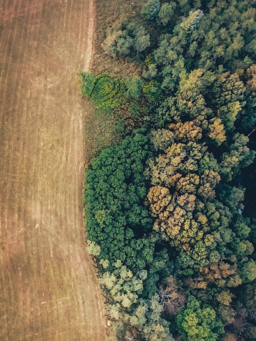 an aerial view of a field and trees