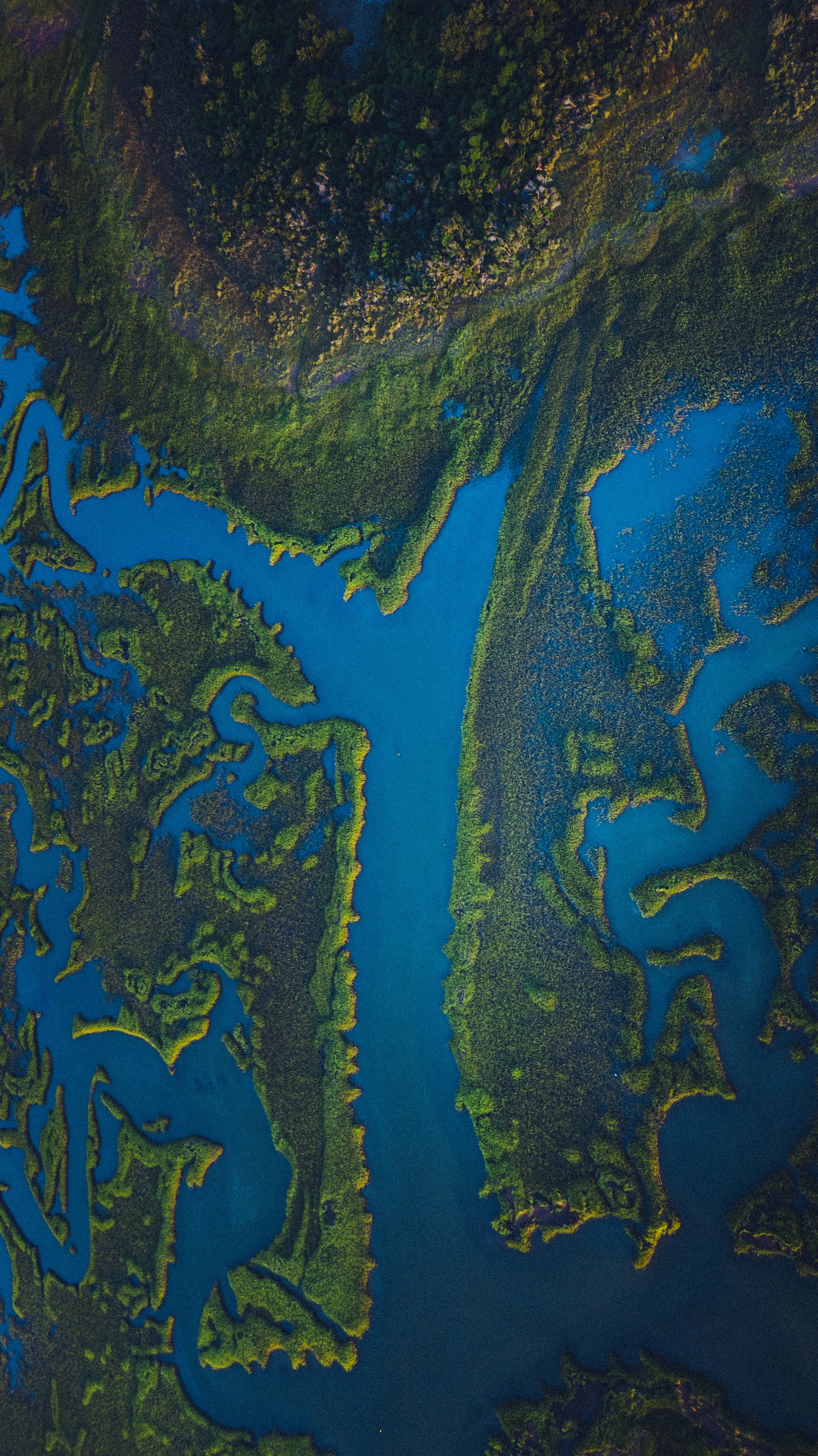 Photo by memory_terra