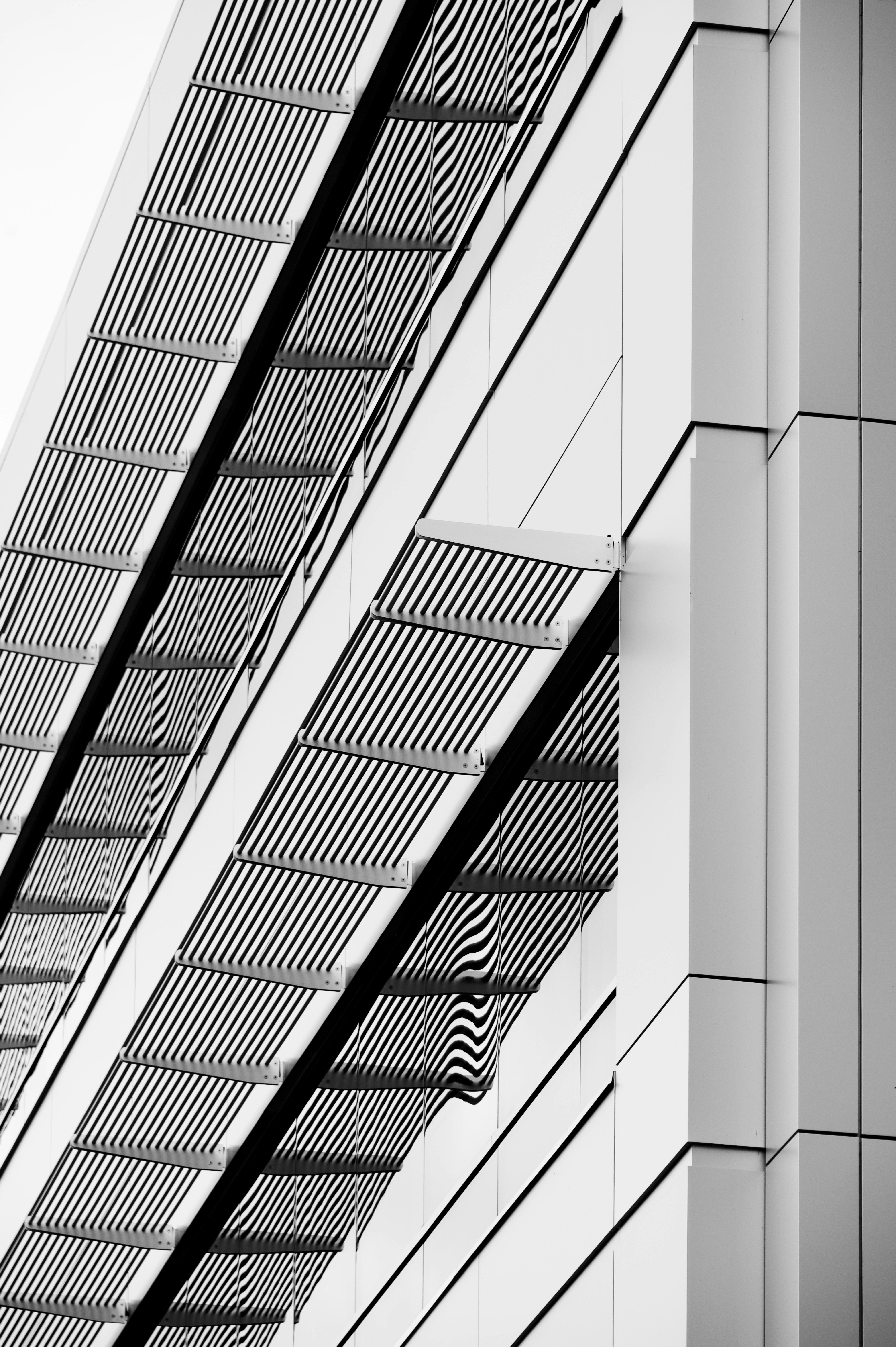 Photo by raenstorming