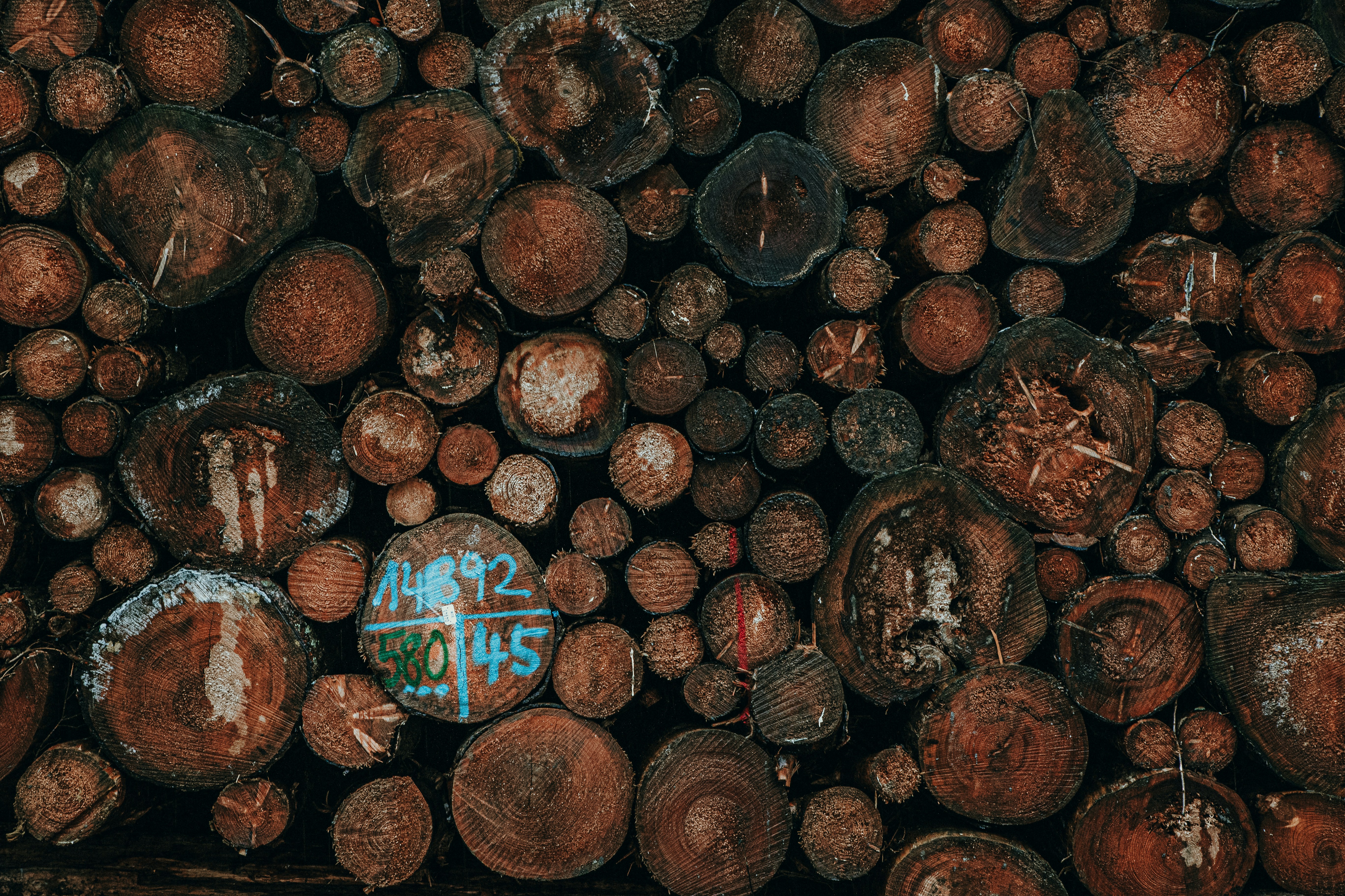 Charred oak barrels lined up in an aging warehouse