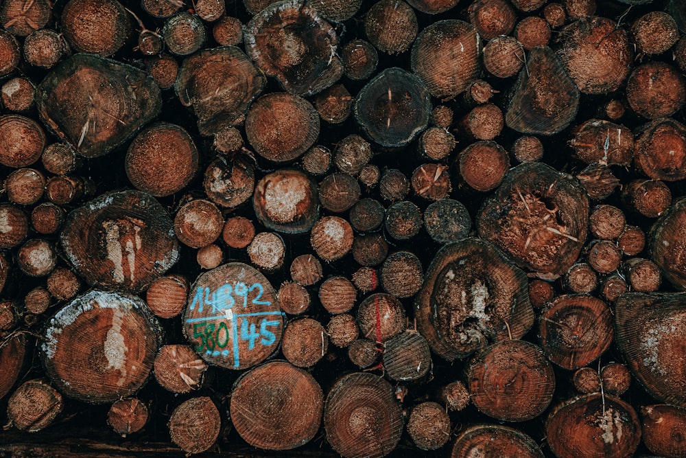 a pile of logs with graffiti on them