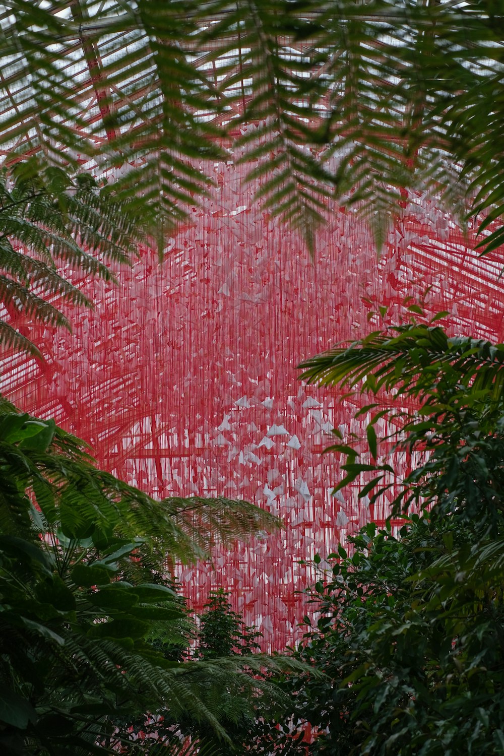 a view of a red wall through the leaves of a tree