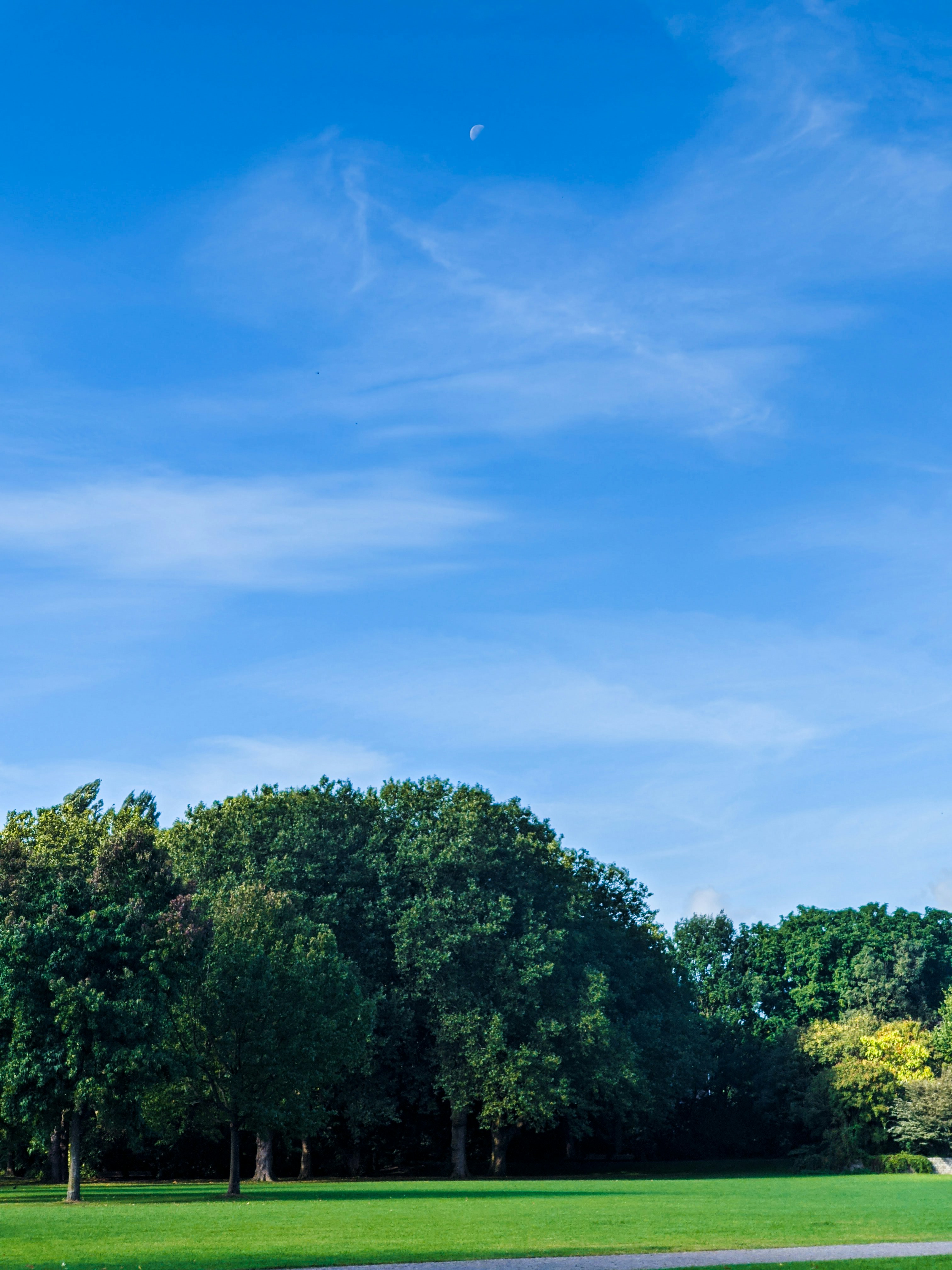 Photo by pinkfloydrose