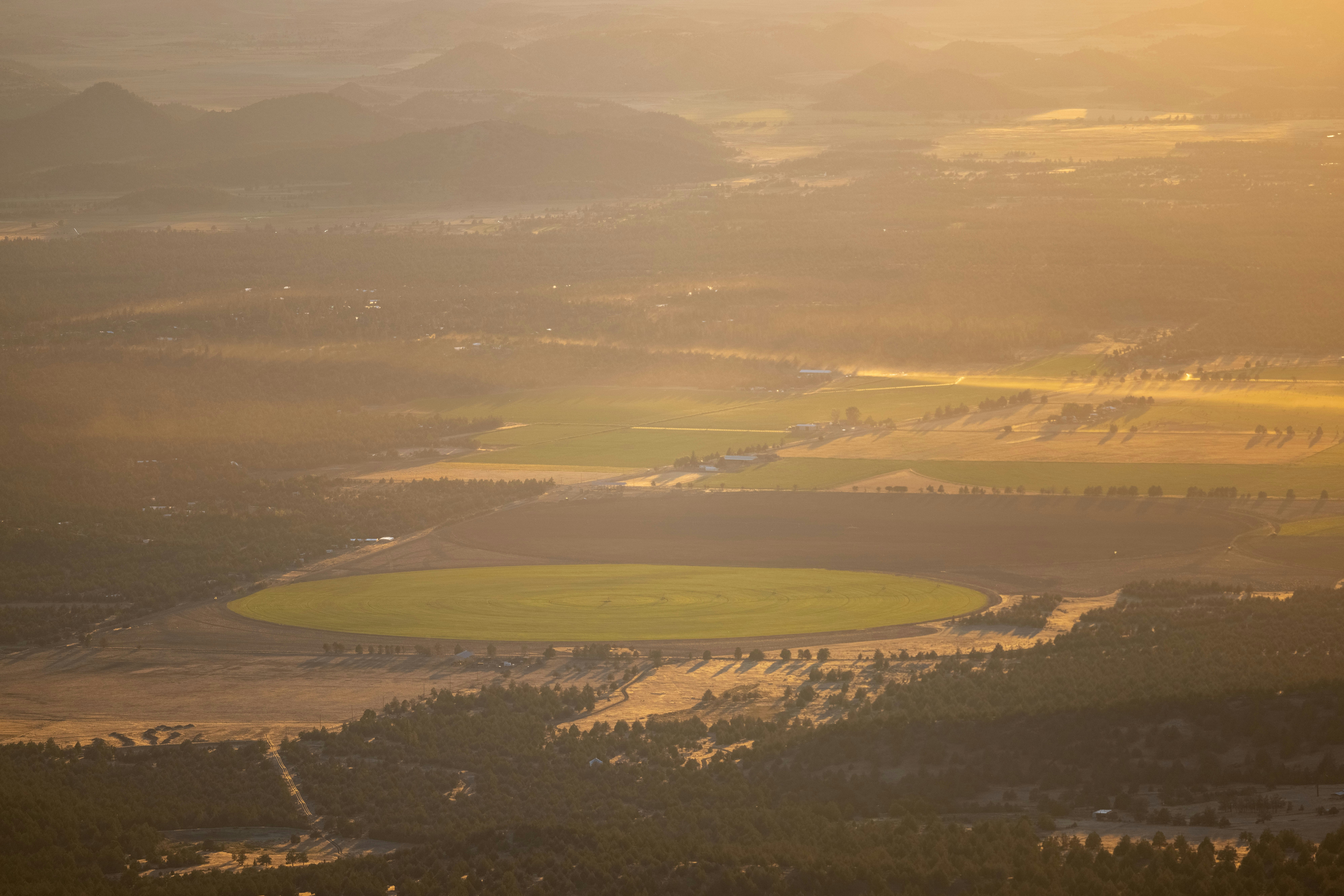 Photo by leo_visions_