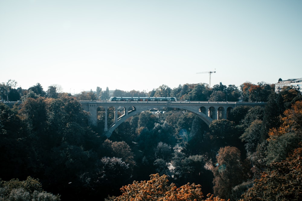 a train crossing a bridge over a forest