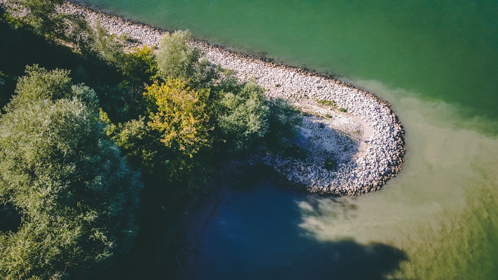 a body of water surrounded by trees and rocks