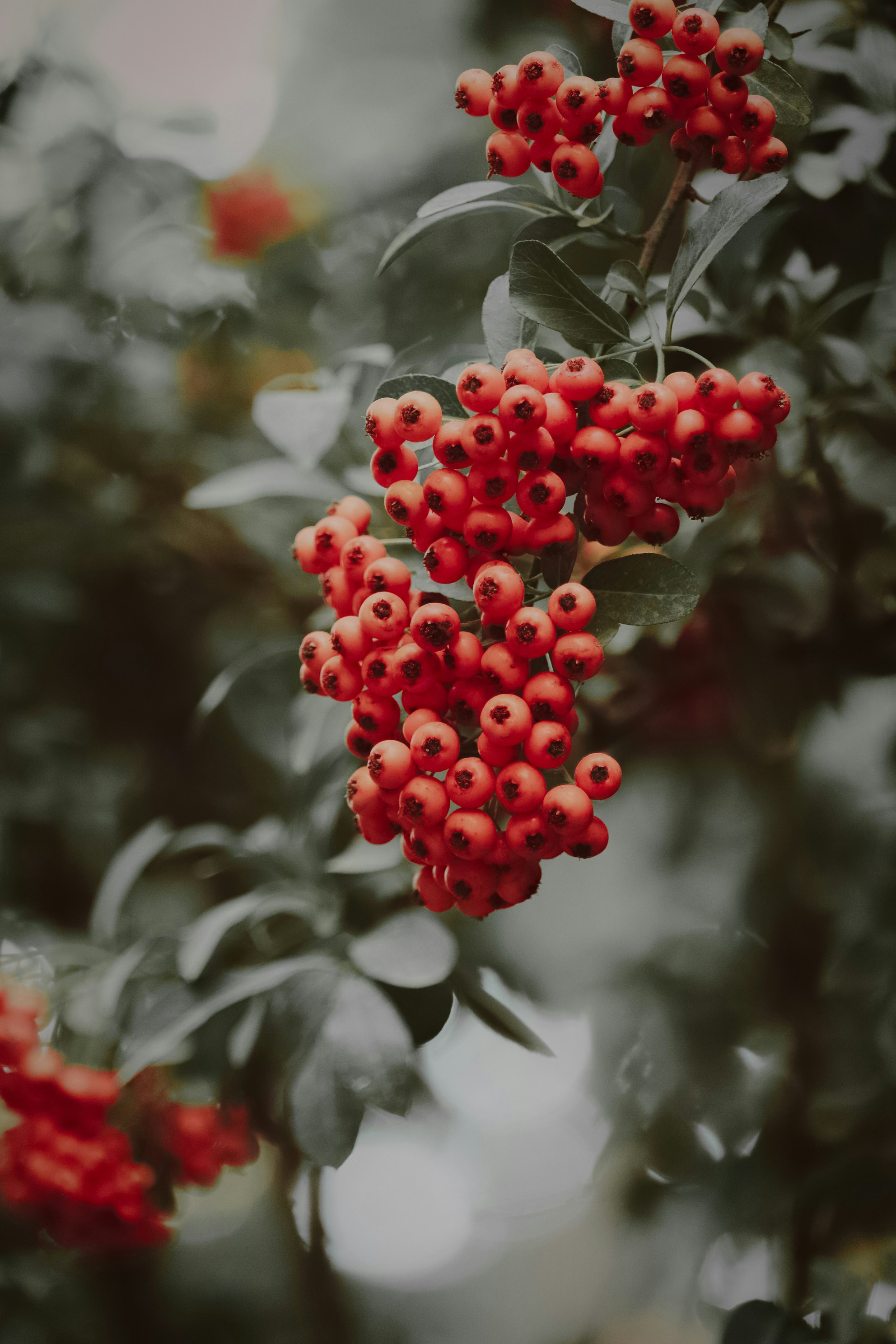 Photo by sinabahar76