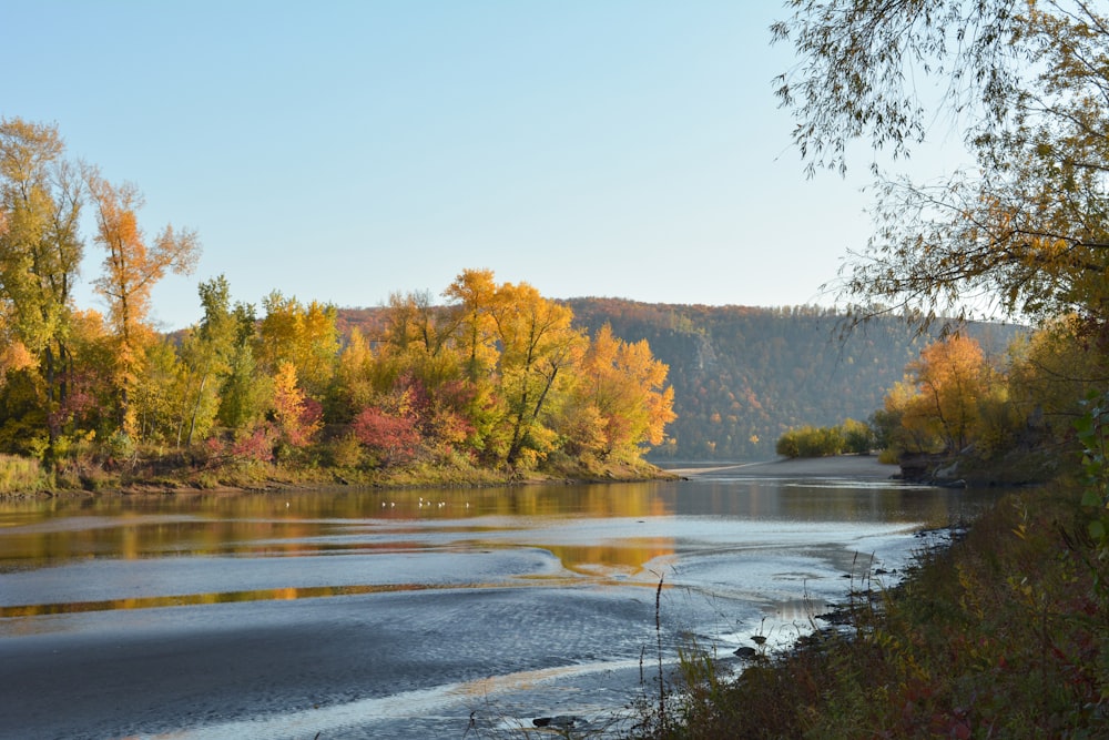 a body of water surrounded by trees in the fall