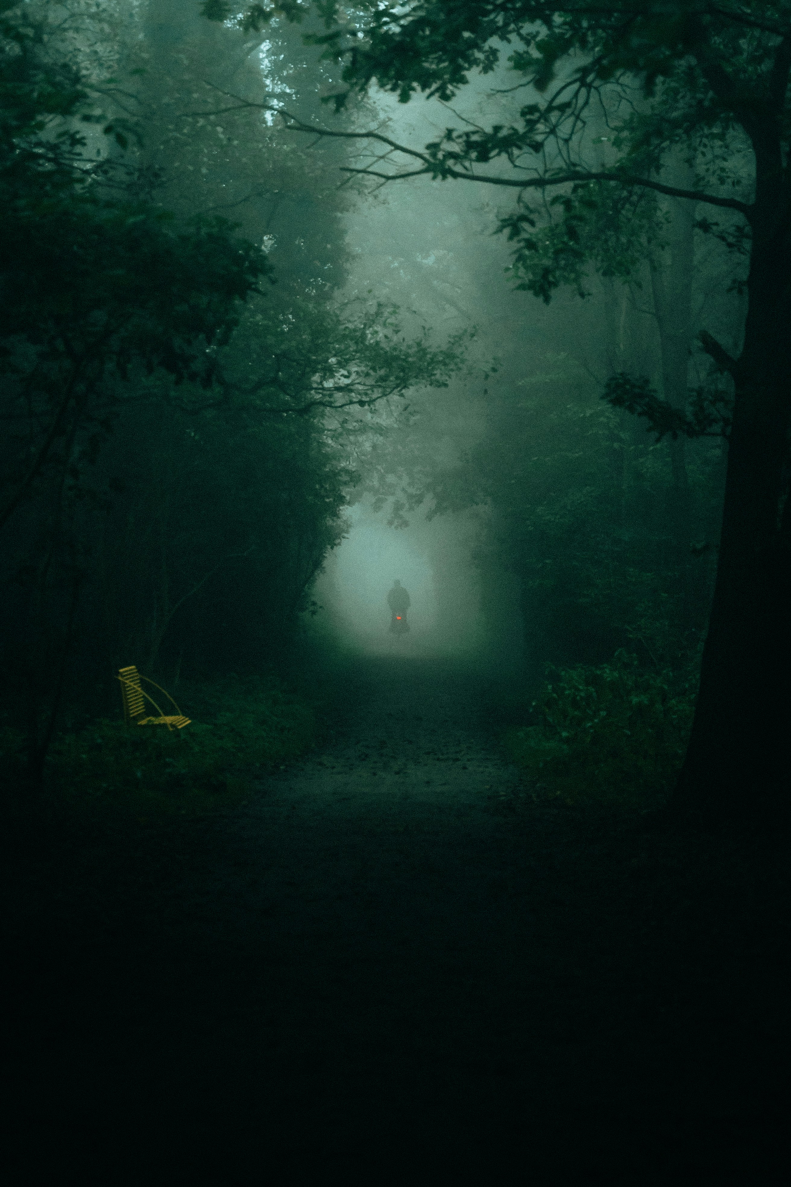 Photo by jonasjaekenmedia