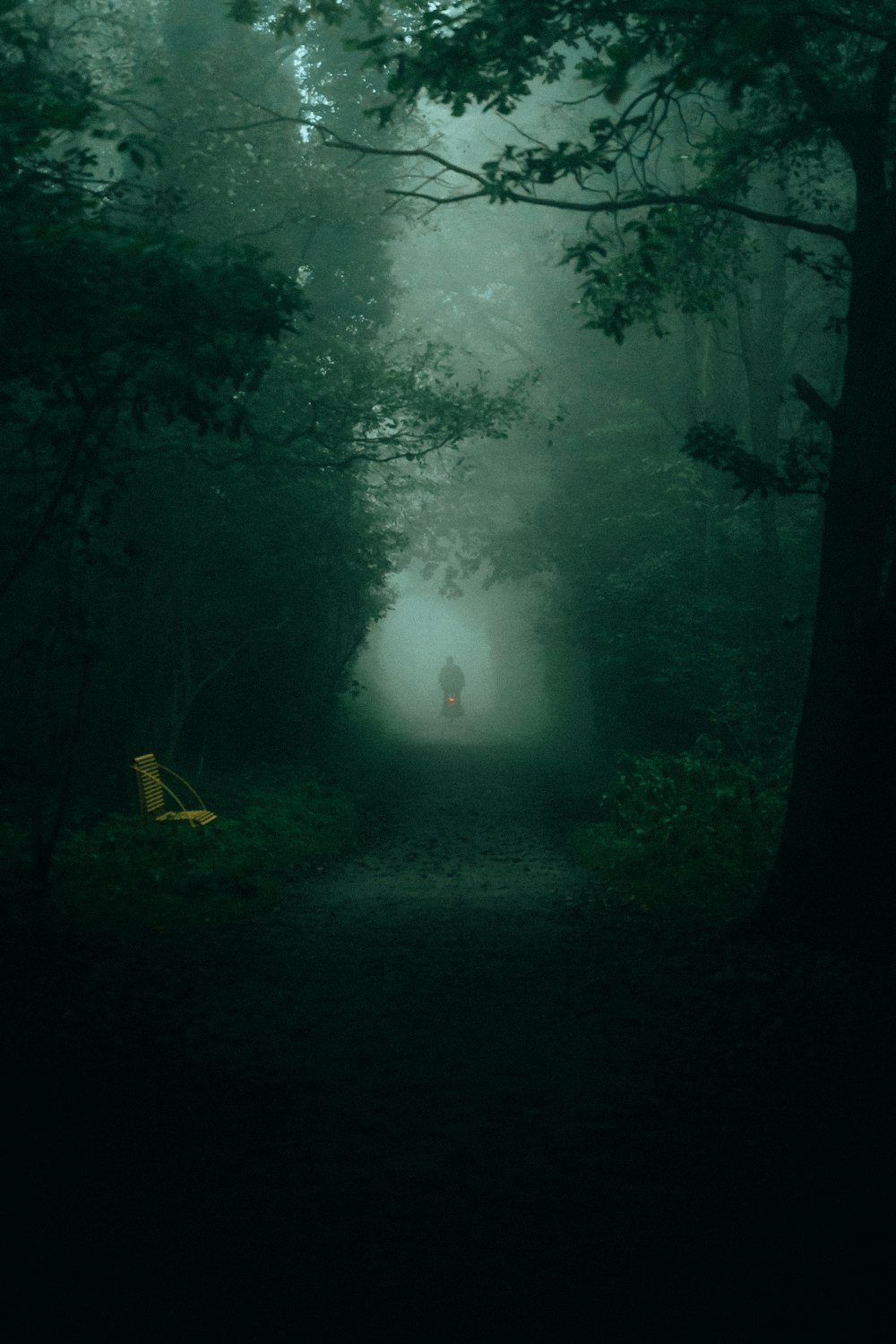 a person standing in the middle of a dark forest