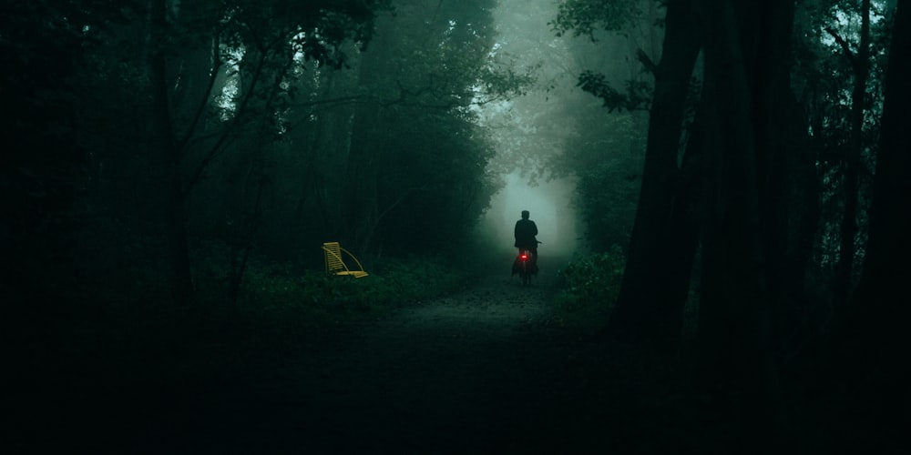 a person riding a bike in a dark forest
