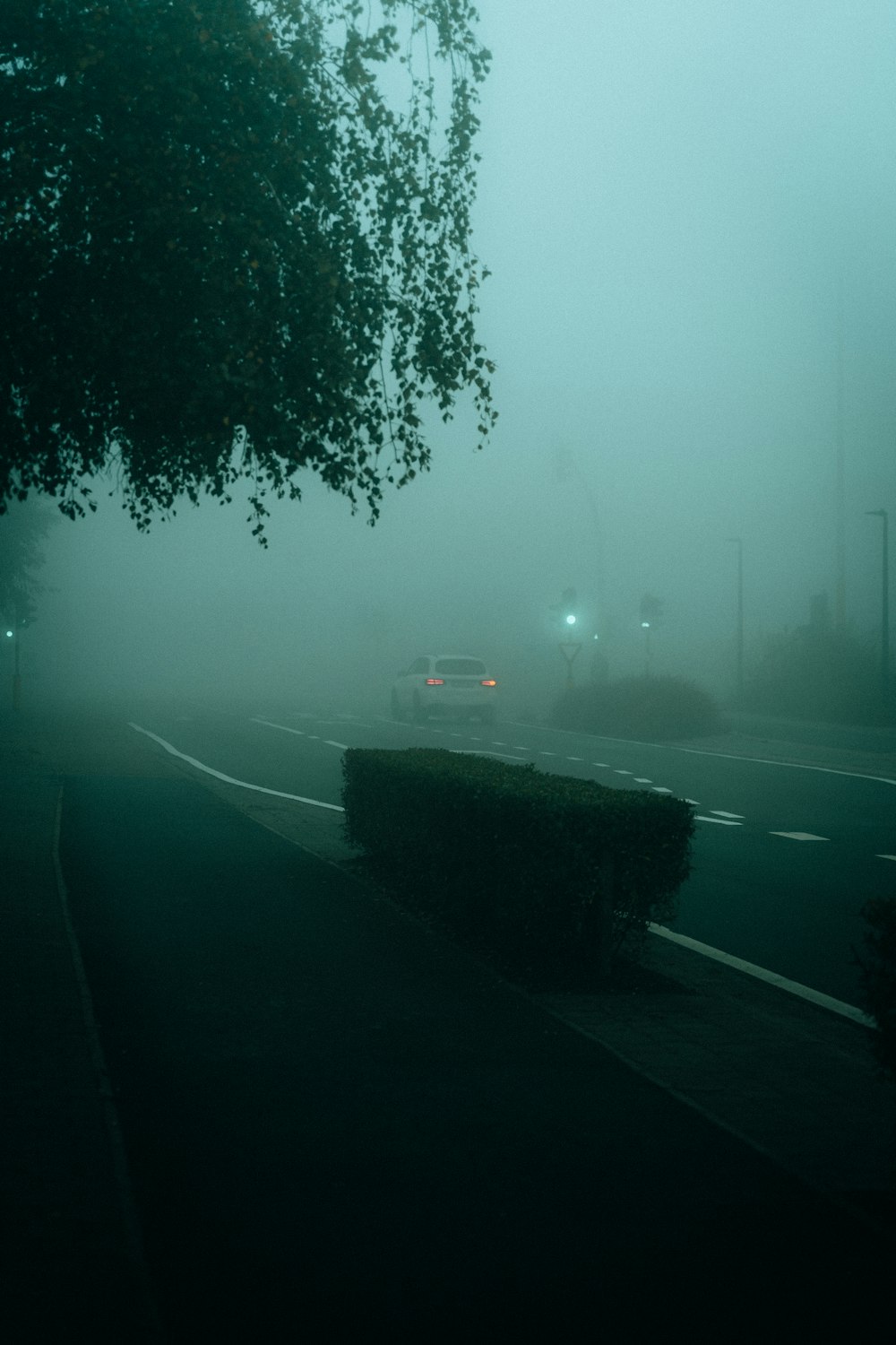 a car driving down a road in the fog