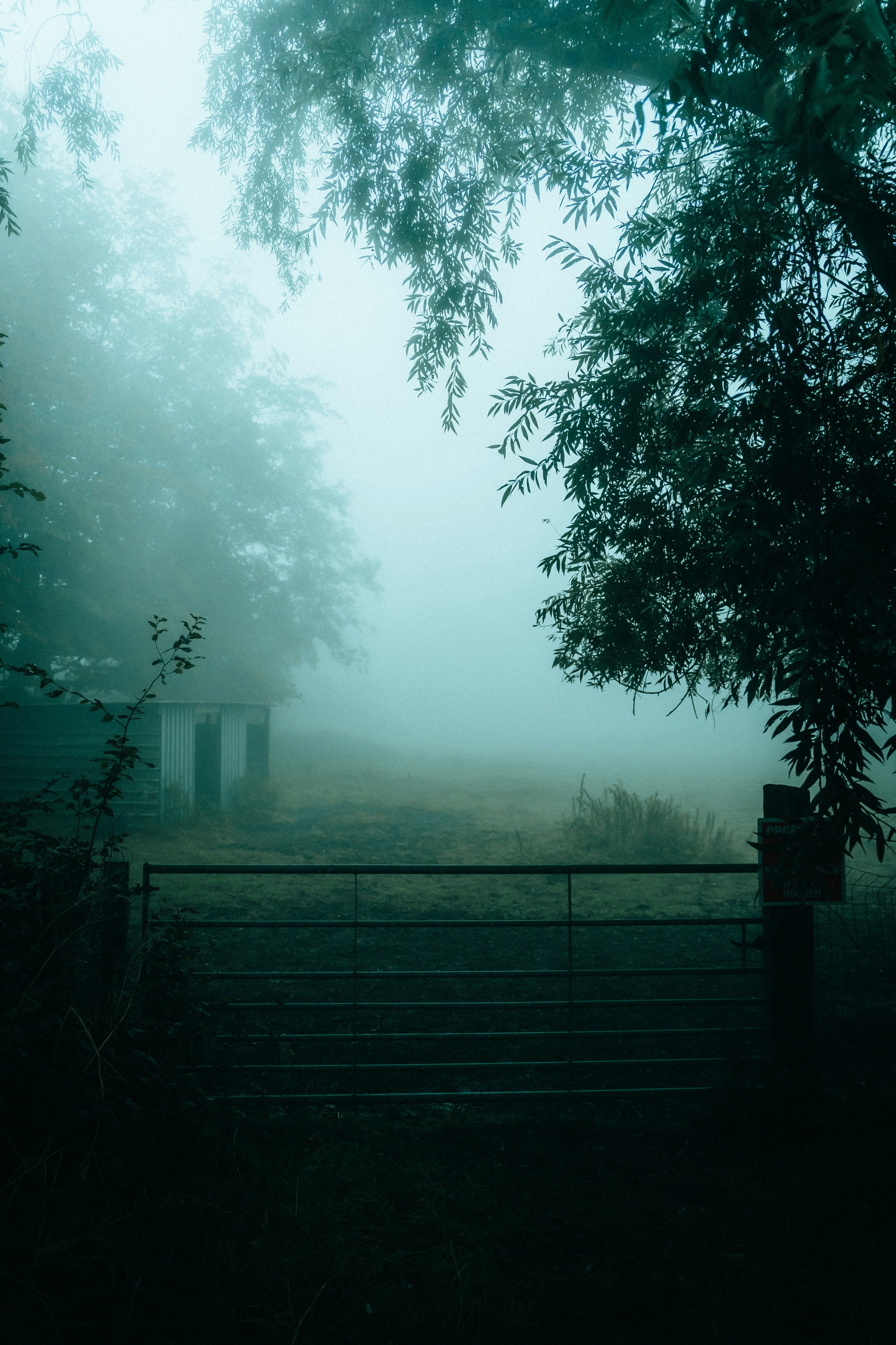 Photo by jonasjaekenmedia