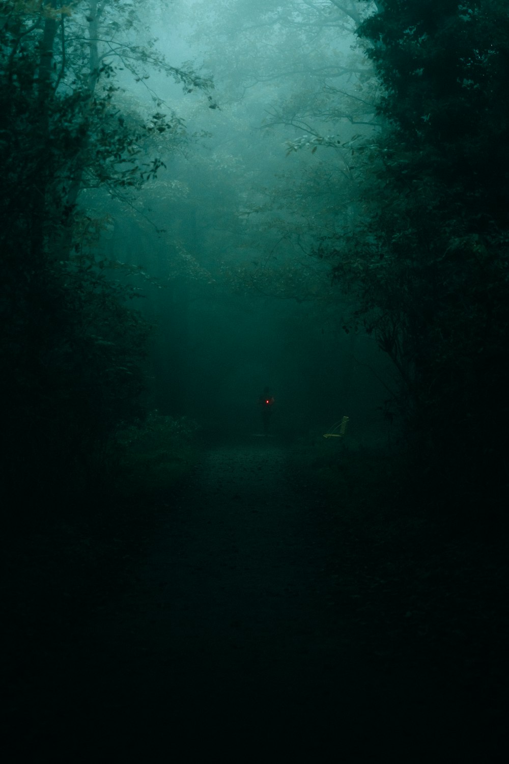 a person standing in the middle of a dark forest