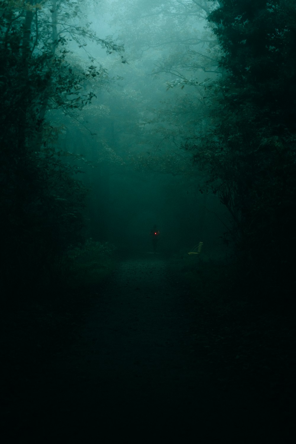 Eine Person, die mitten in einem dunklen Wald steht