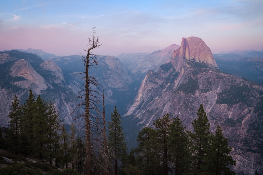 a view of a mountain range with trees in the foreground