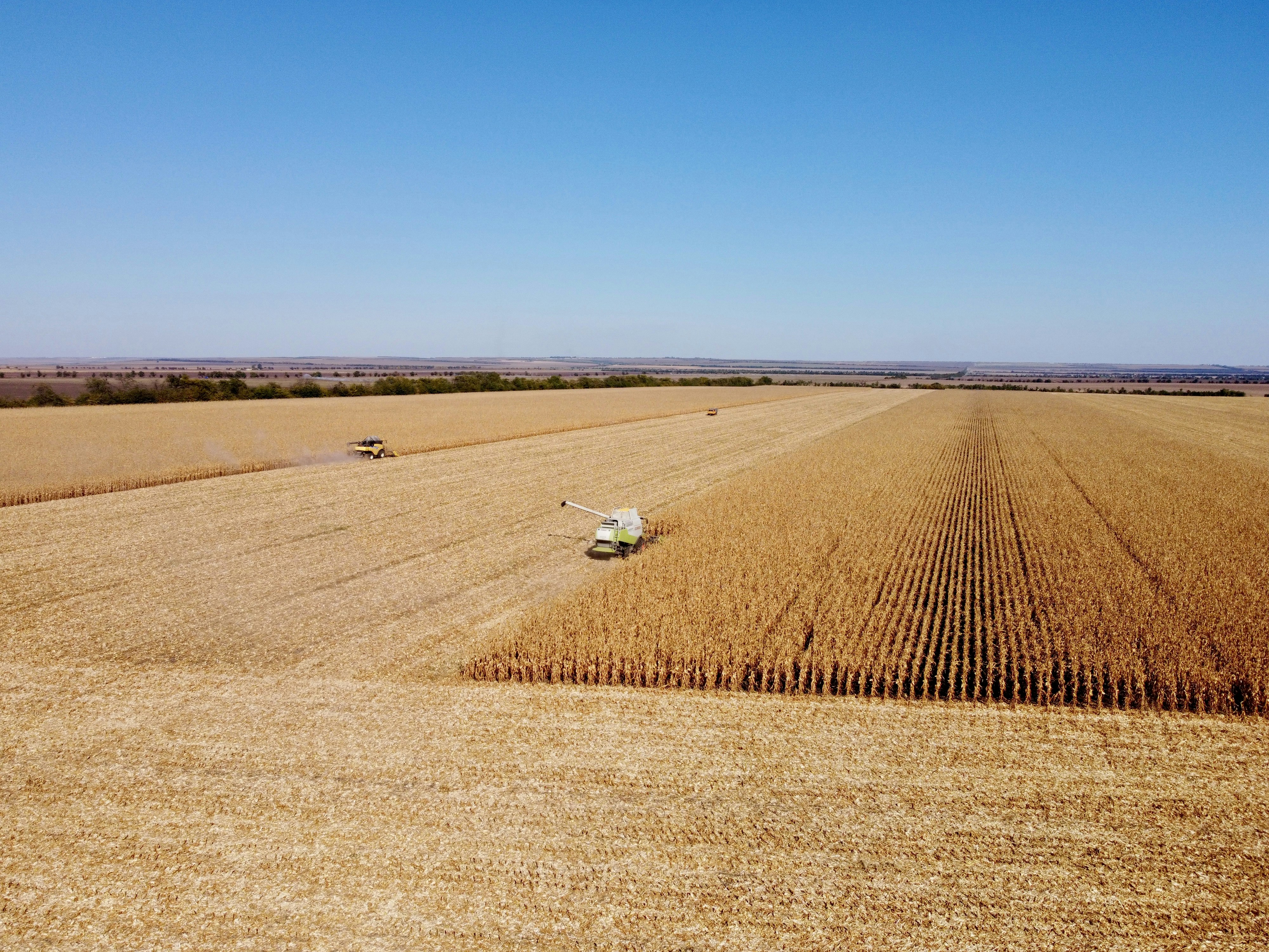 a truck driving through a large wheat field