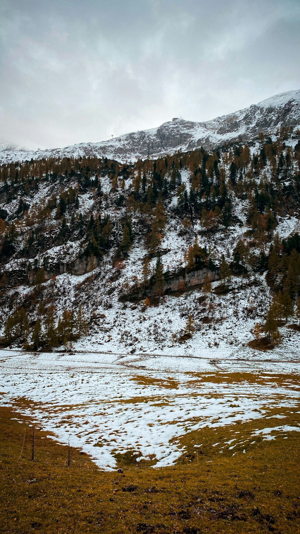 a mountain covered in snow with trees on top of it