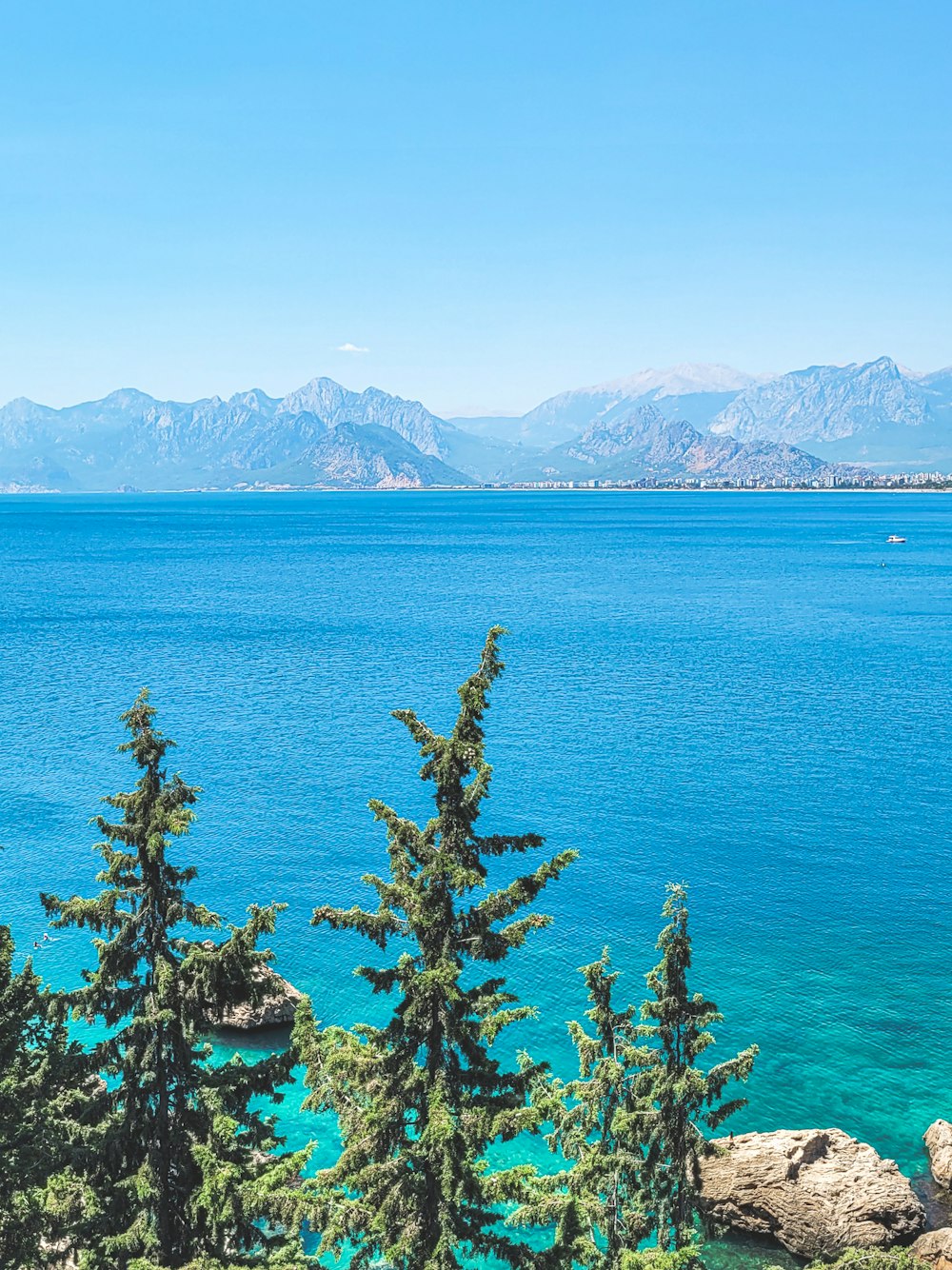 a large body of water surrounded by trees