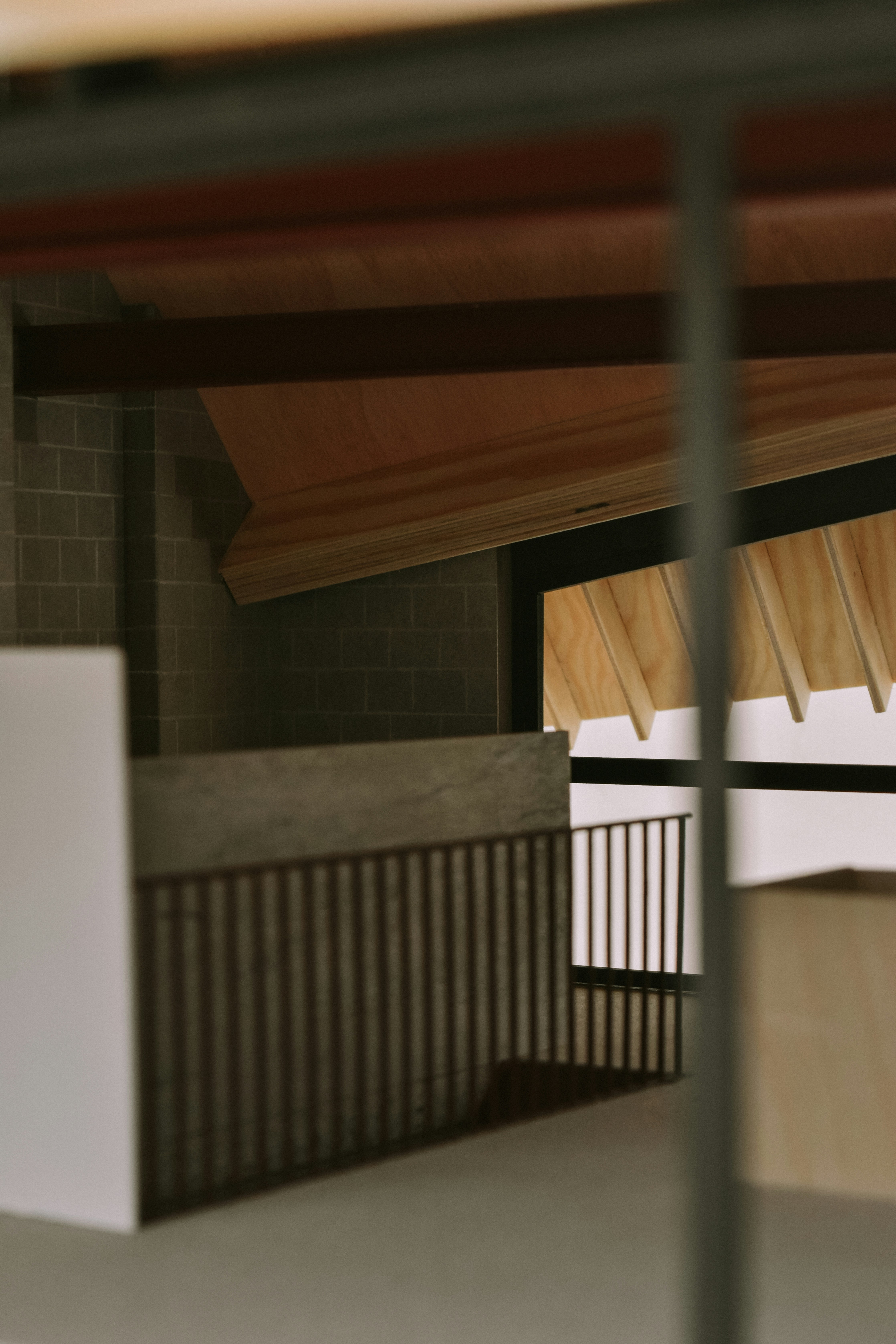 Photo by alexandru_ionescu_m