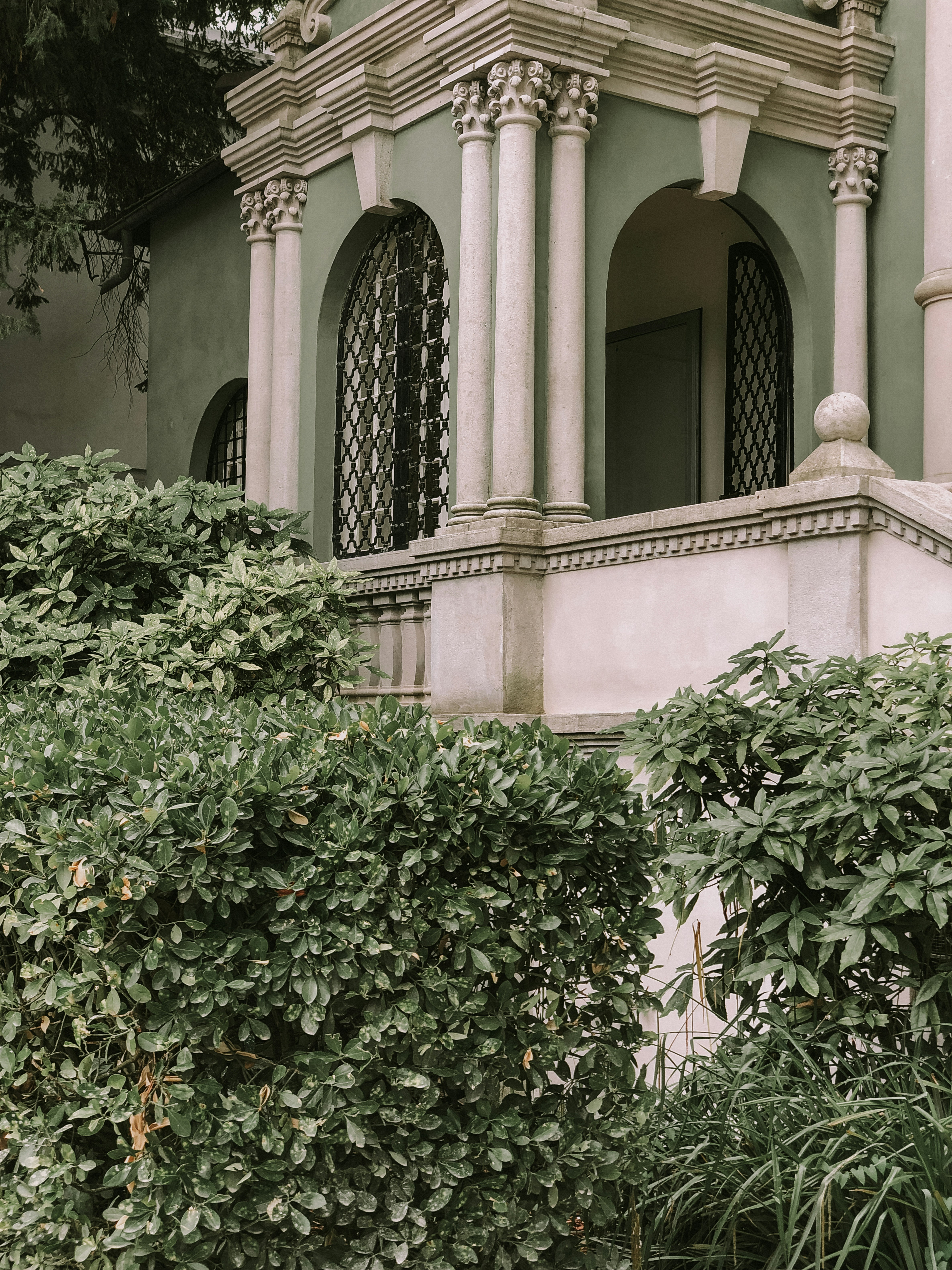 Photo by alexandru_ionescu_m