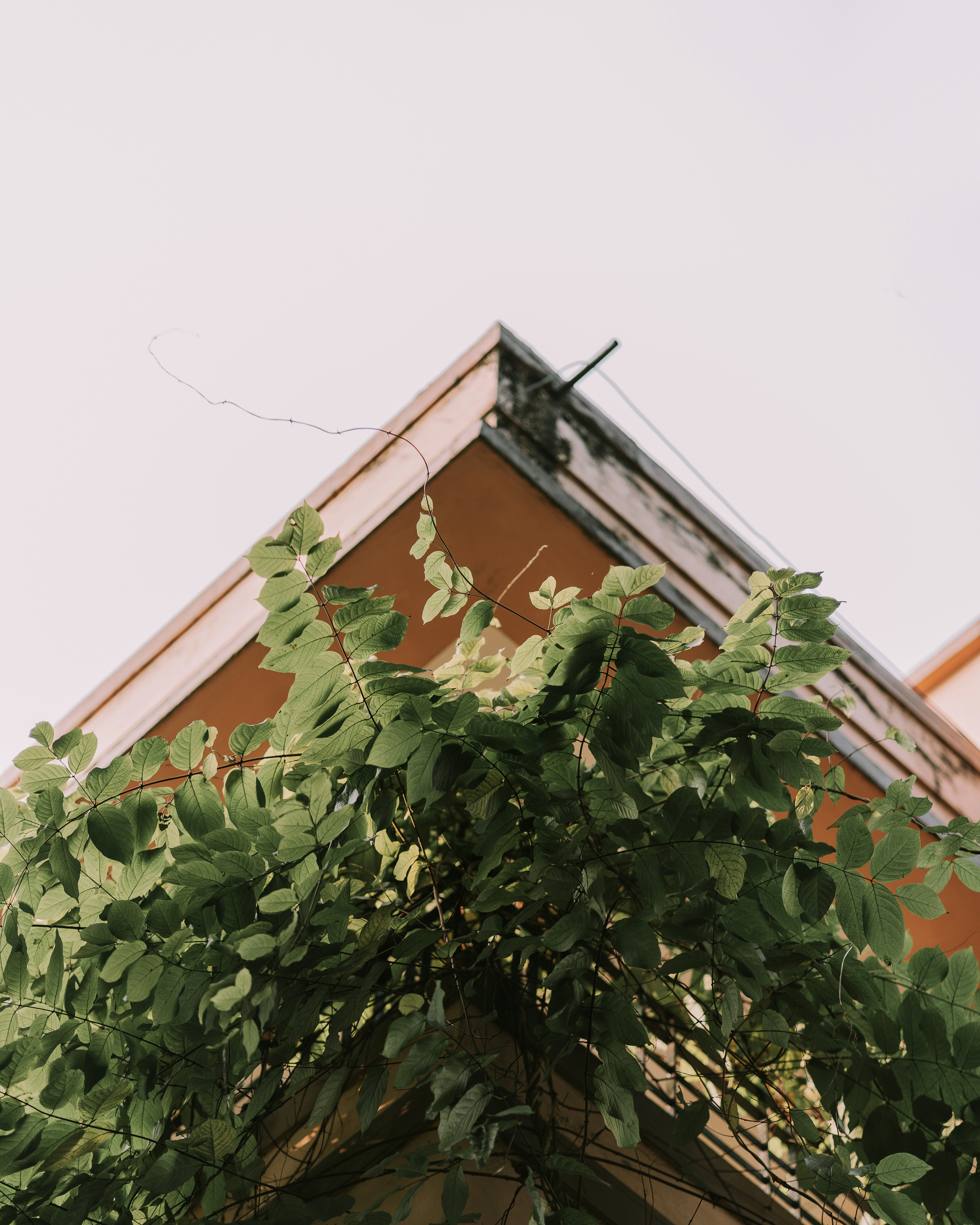 Photo by singhrupinder