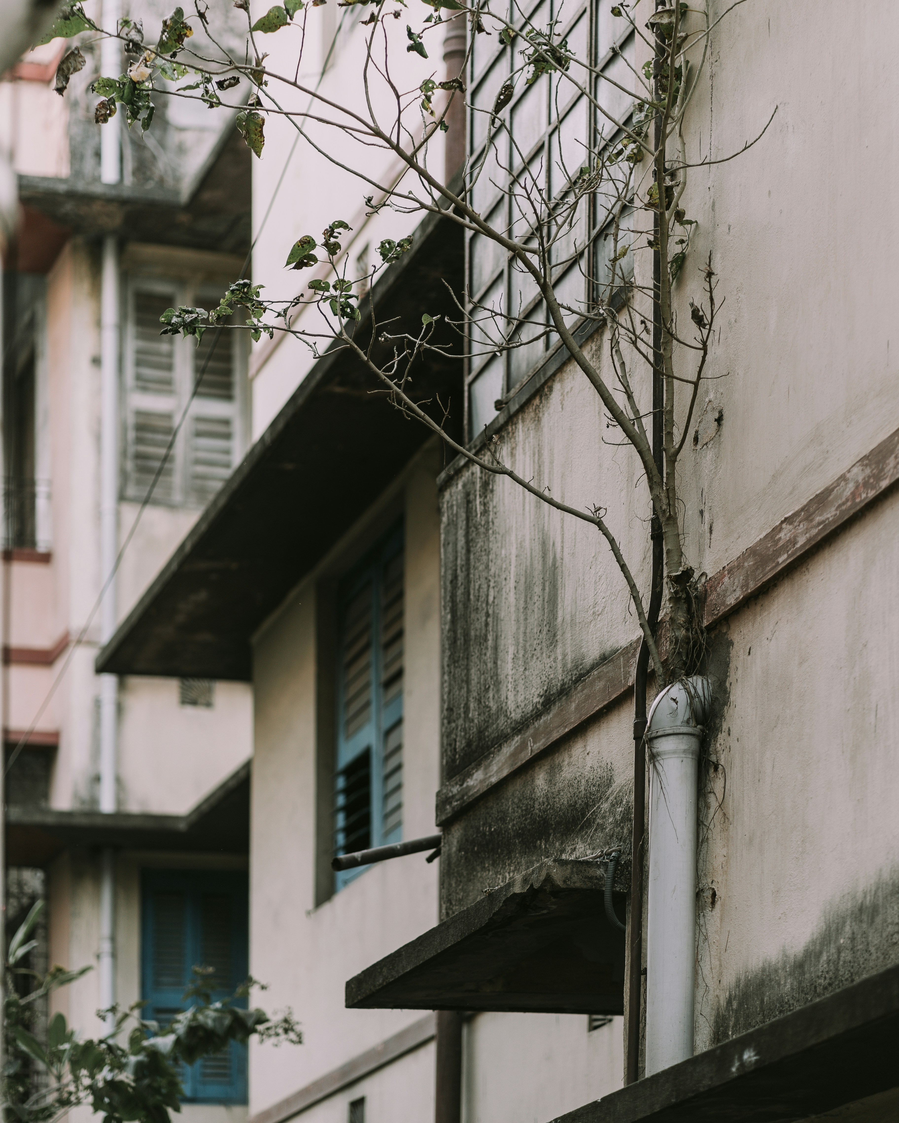 Photo by singhrupinder