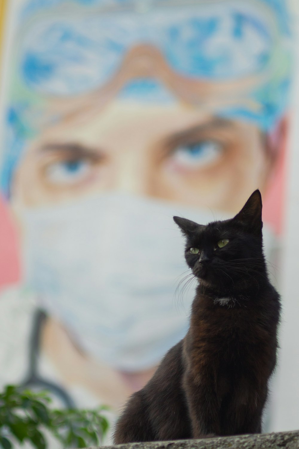 a black cat with a face mask sitting on a ledge