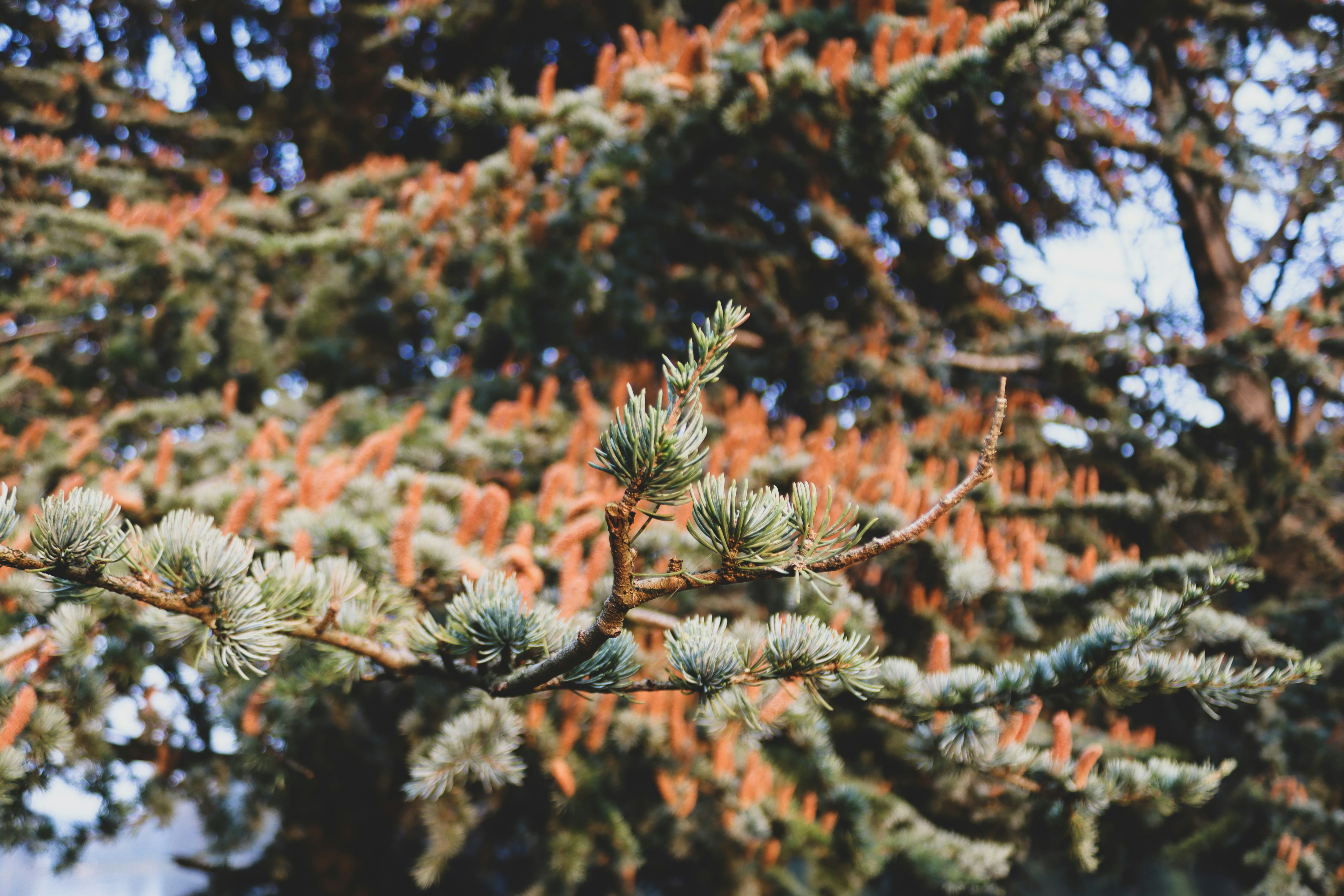 Photo by agenciaorca