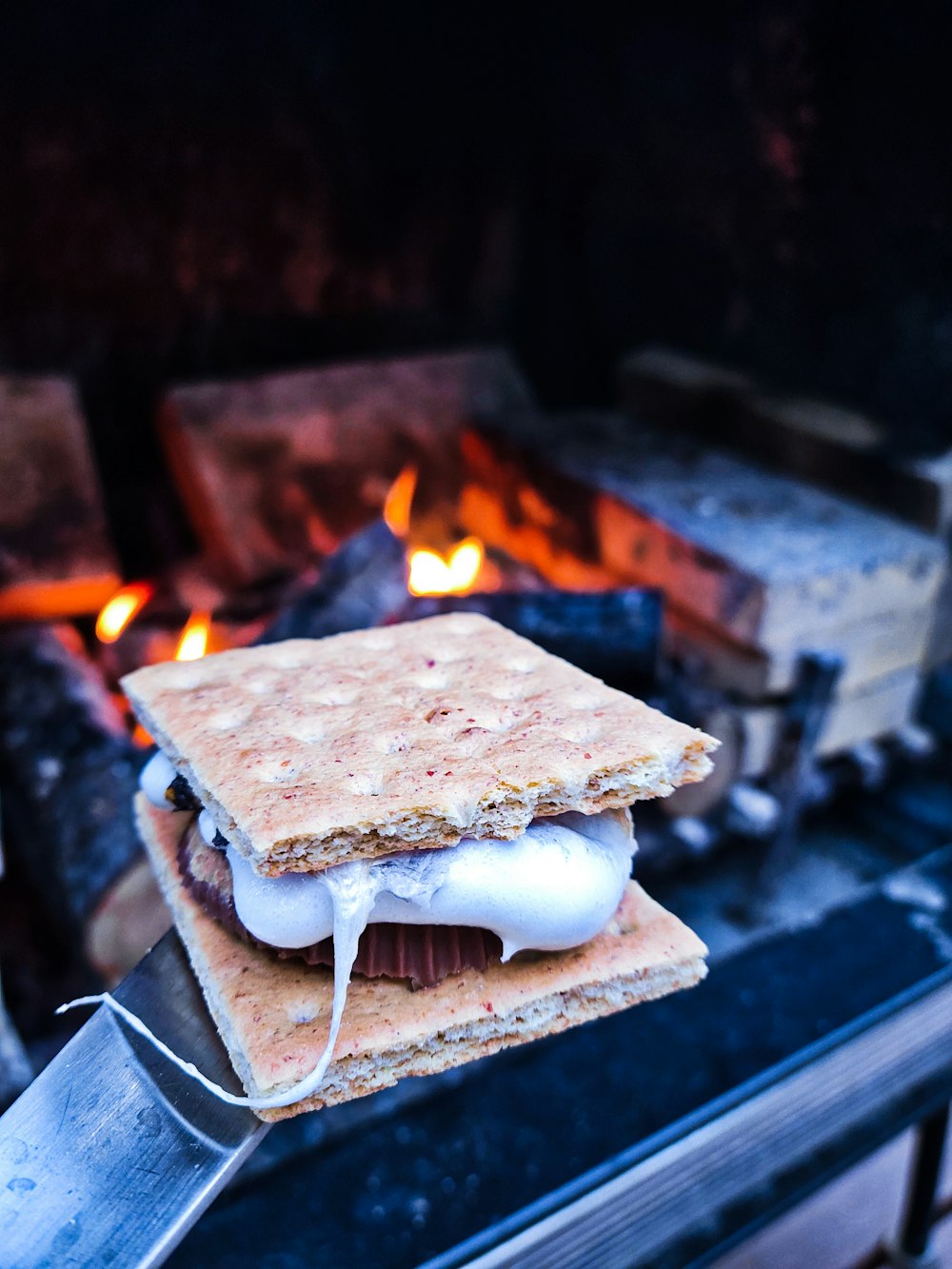 un sandwich assis sur un gril à côté d’un feu