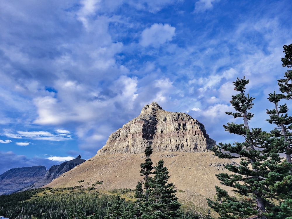 a tall mountain with a few trees in front of it