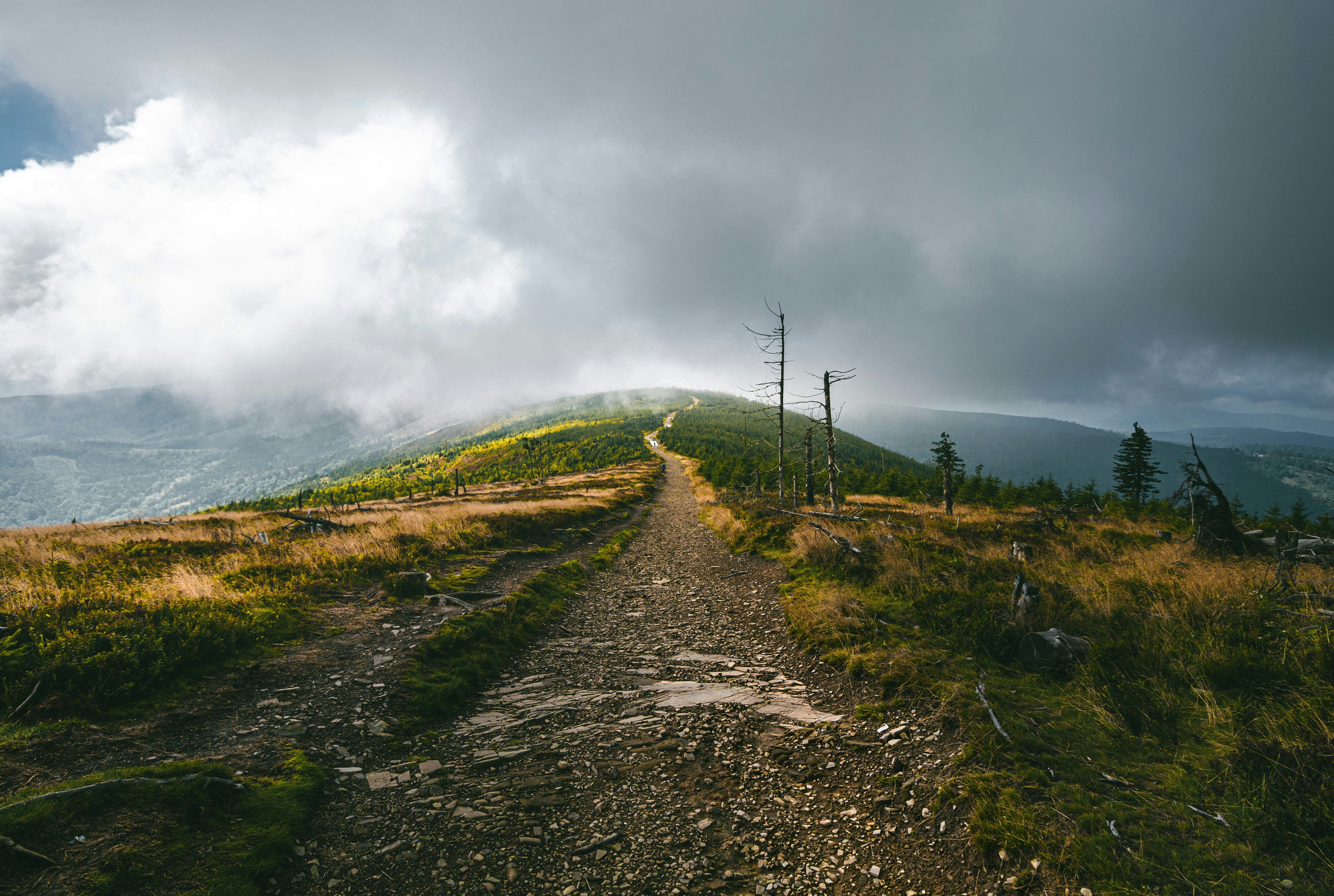 Photo by tomasz_filipek