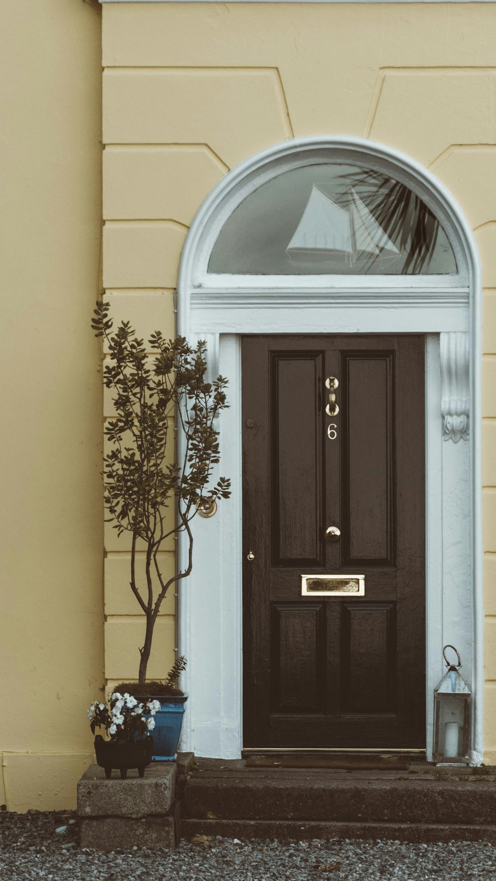 a black front door with a potted plant next to it