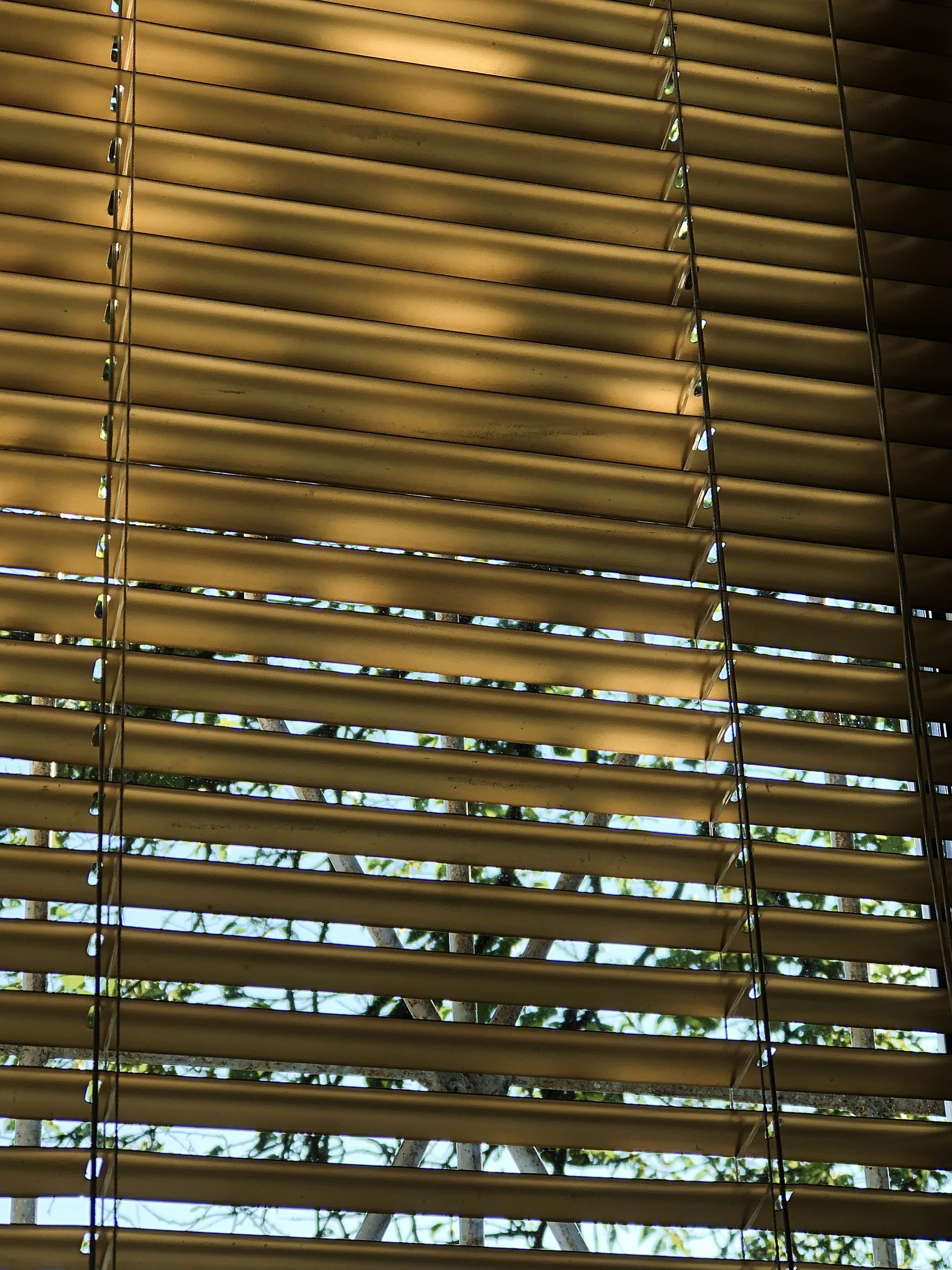 Photo by mikearchetype