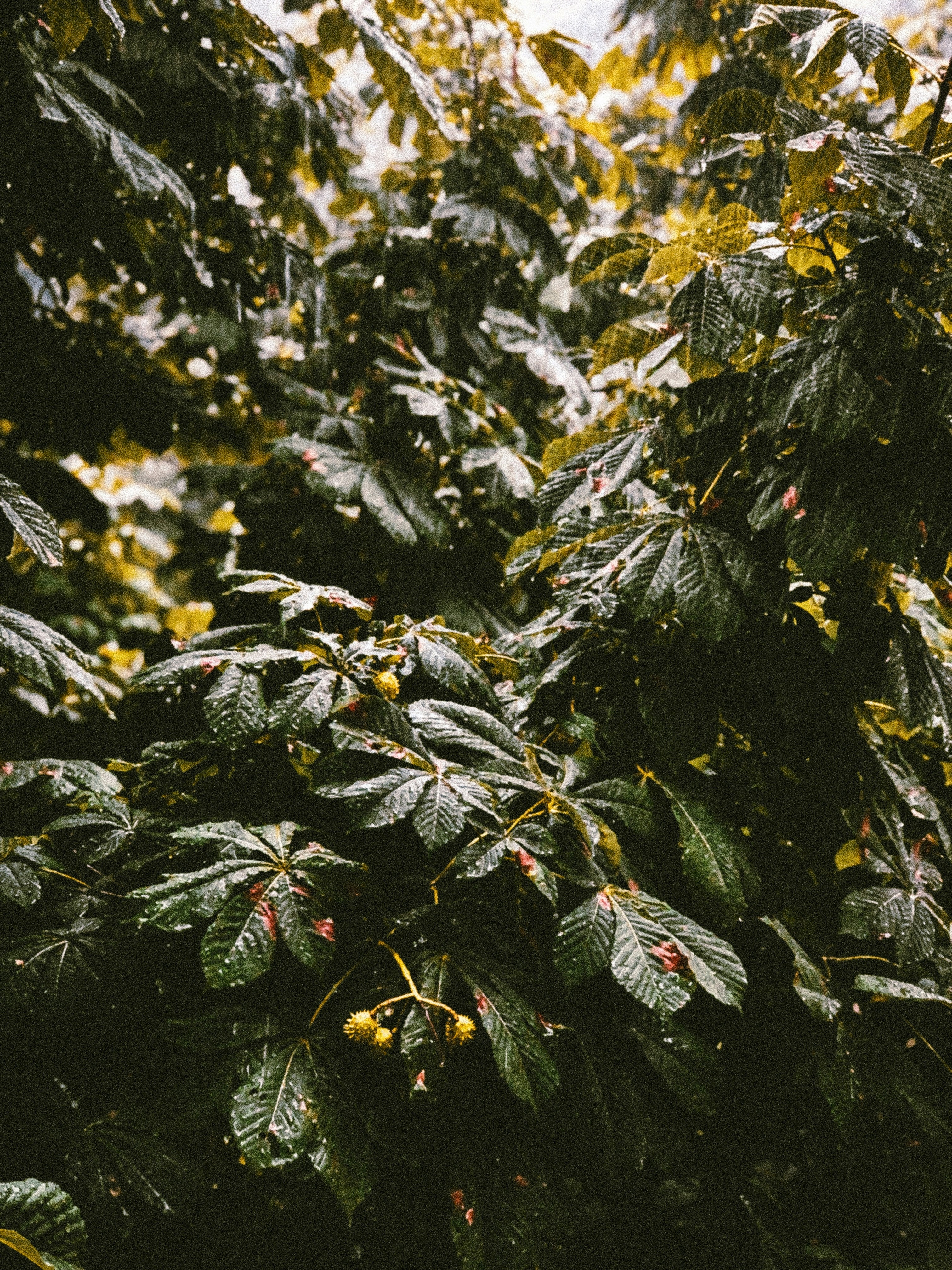 Photo by mikearchetype