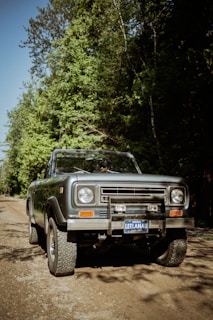 a truck parked on the side of a dirt road